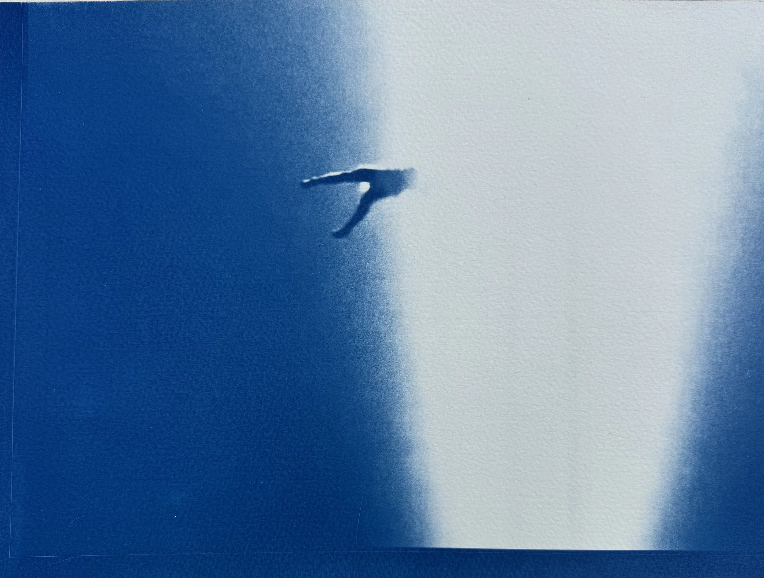 Falling II, 2025, Cyanotype on paper, 31 x 23 cm
