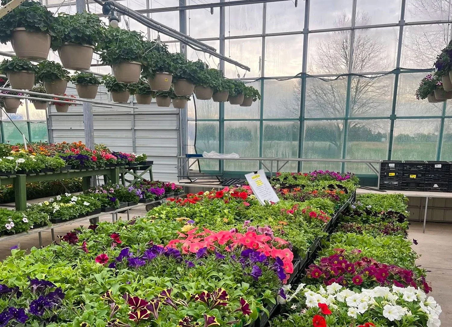 Spring Planter Clinic