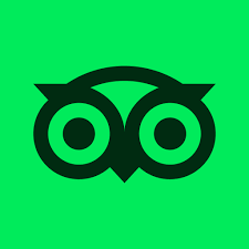 Ilustração de um símbolo de óculos estilizado com fundo verde.