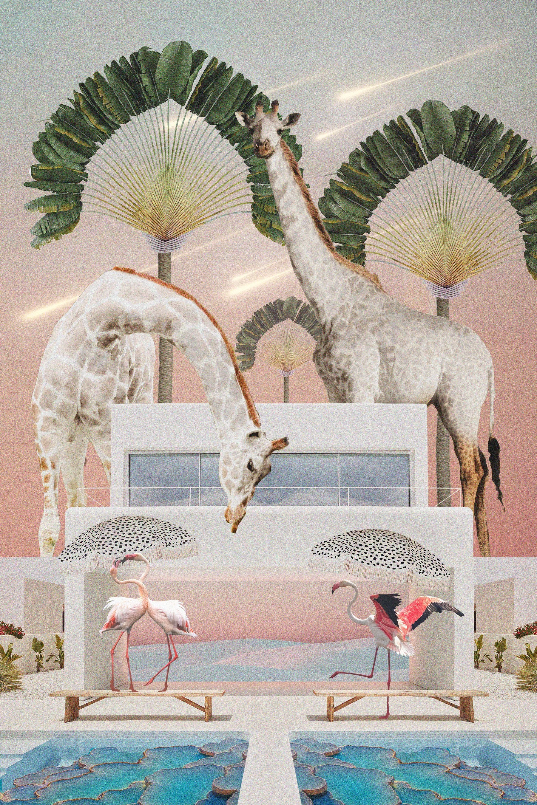 White Serengeti 
(2022)