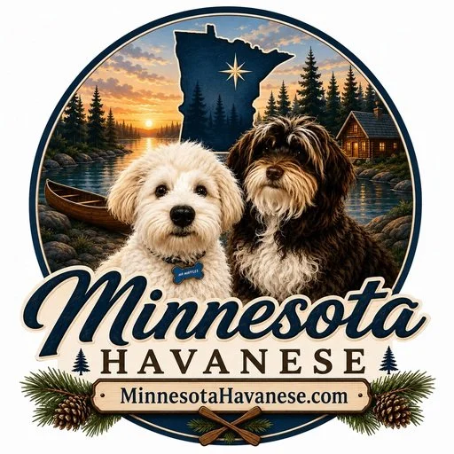 Happy Havense  Heaven