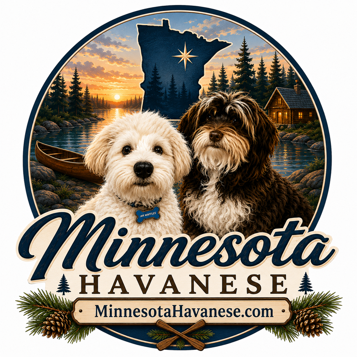 An illustrated logo featuring two Havanese dogs in front of a scenic Minnesota landscape with a sunset, lake, pine trees, a cabin, and a canoe. The top of the logo displays a map of Minnesota with a compass rose. Text reads 'Minnesota Havanese' and 'MinnesotaHavanese.com' at the bottom, decorated with pine branches and pinecones.