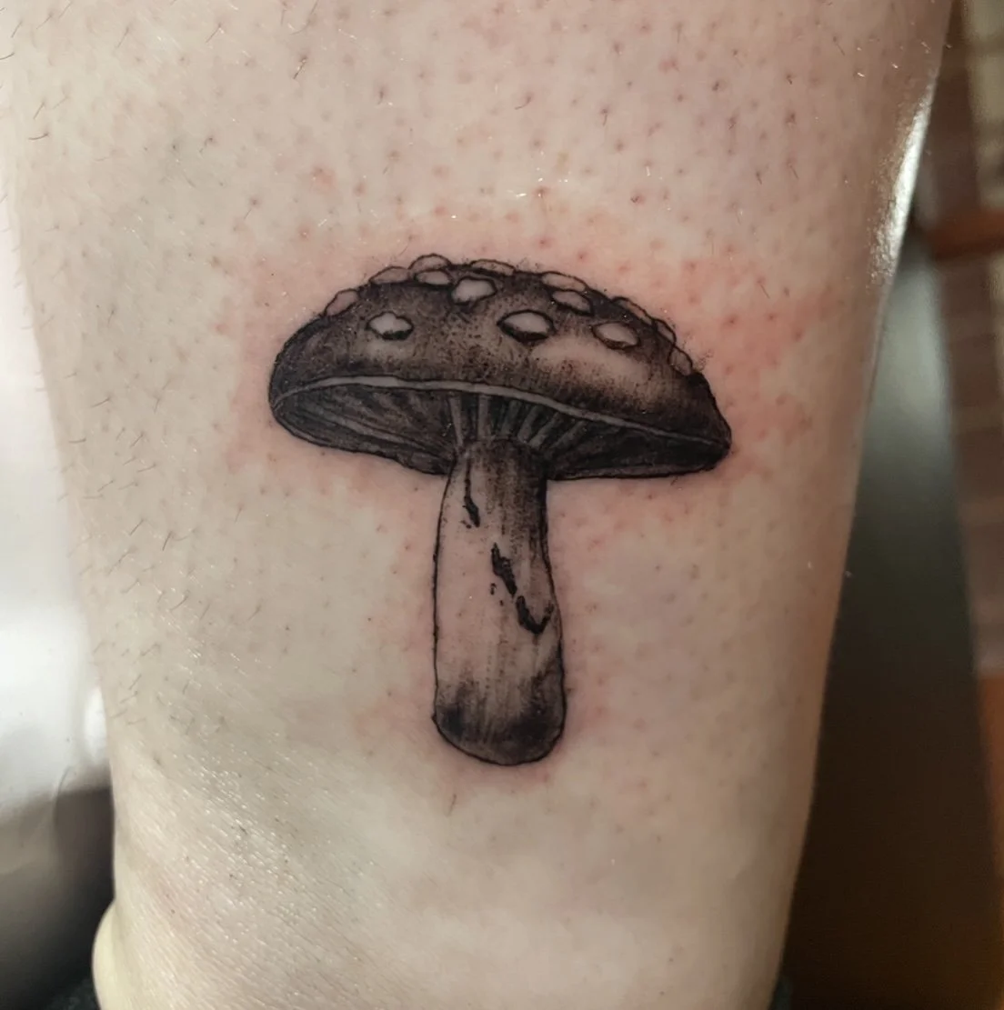 A black and gray mushroom tattoo on skin, showing a detailed cap with spots and a striped stem.