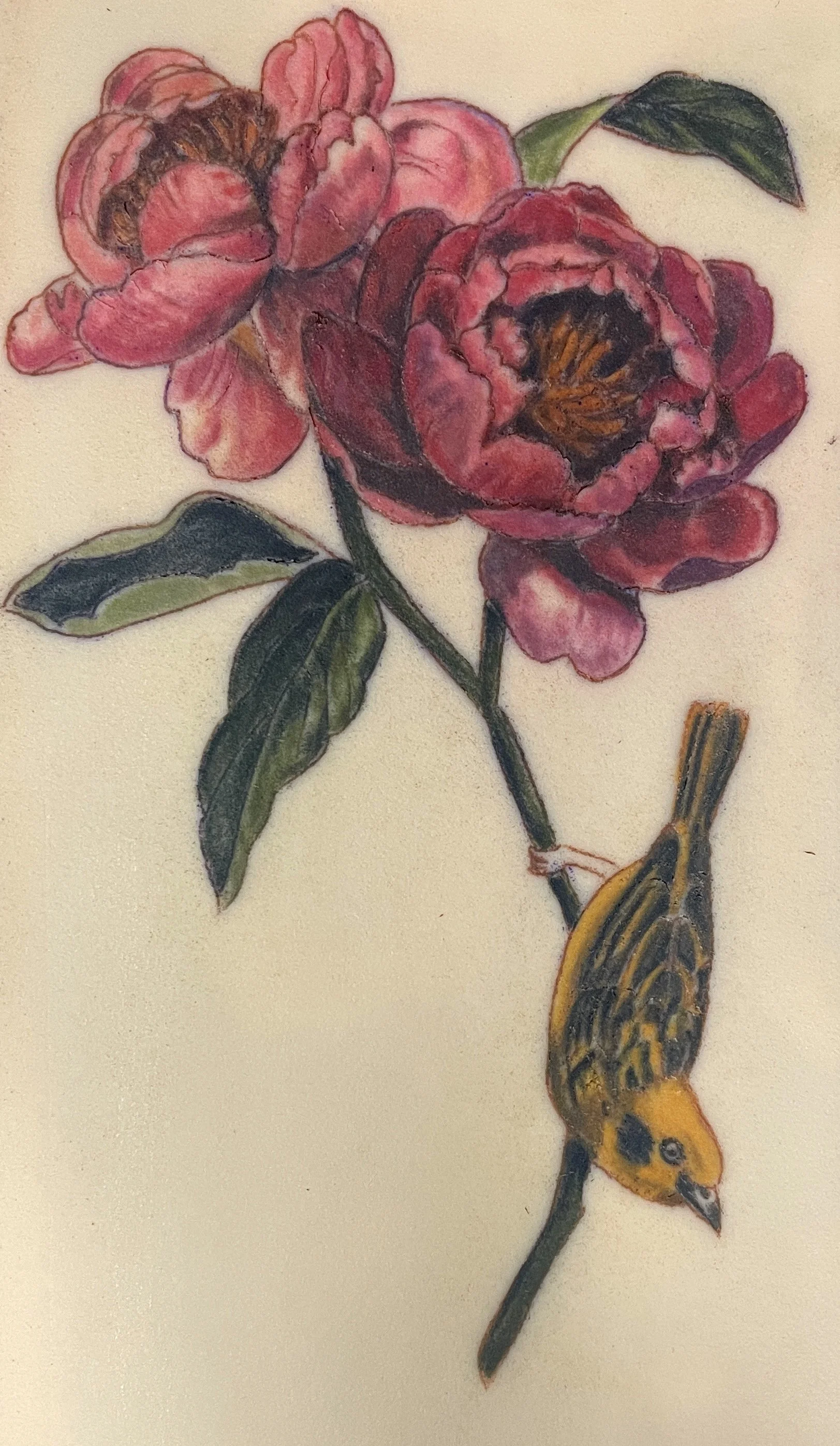 A detailed colored pencil drawing of a pink flower with green leaves and a yellow and black striped insect on the stem.
