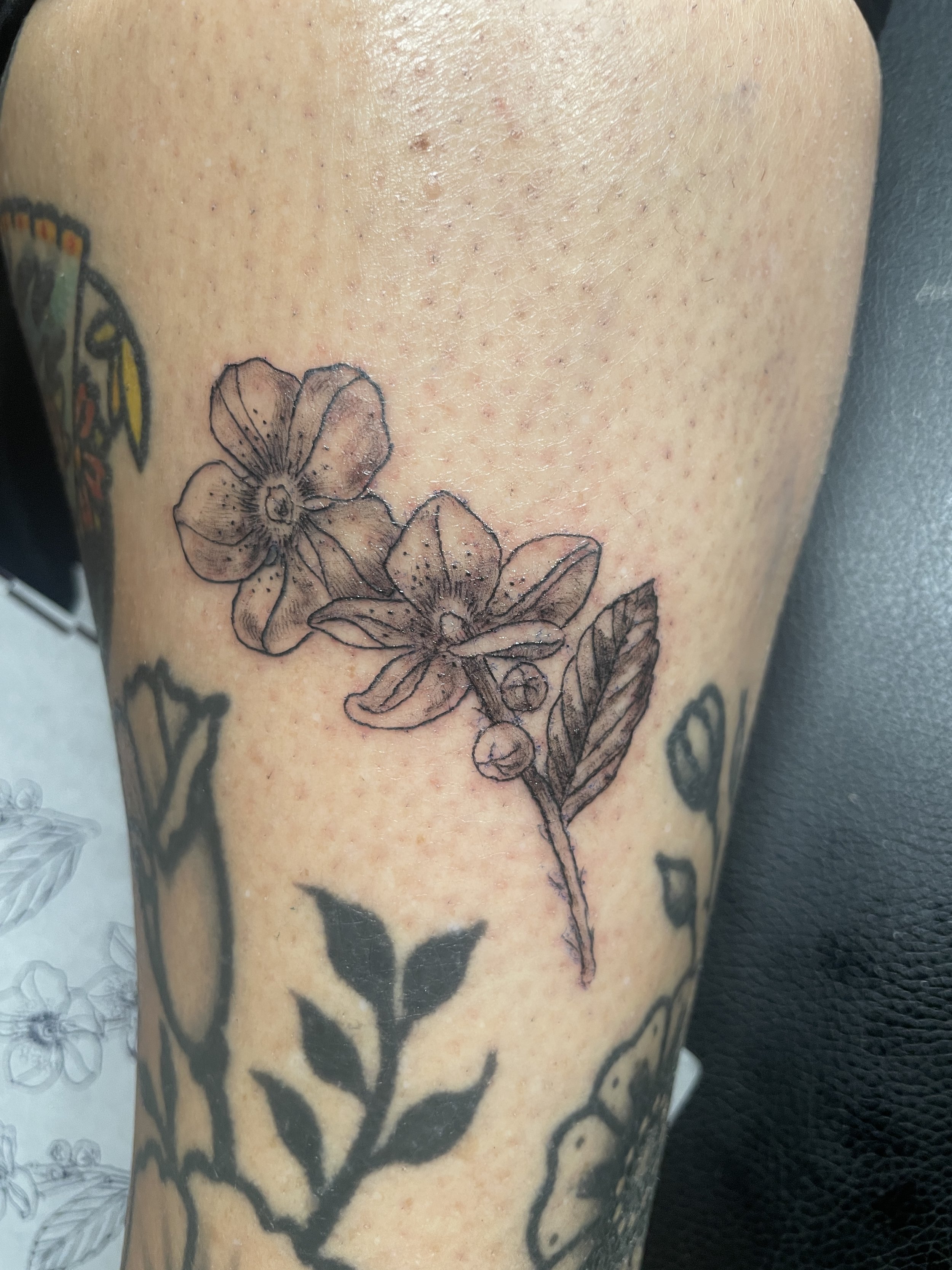 Realistic fine line botanical image of orchid tattoo small tattoo black and gray Santa Cruz female artist wednesday kirwan