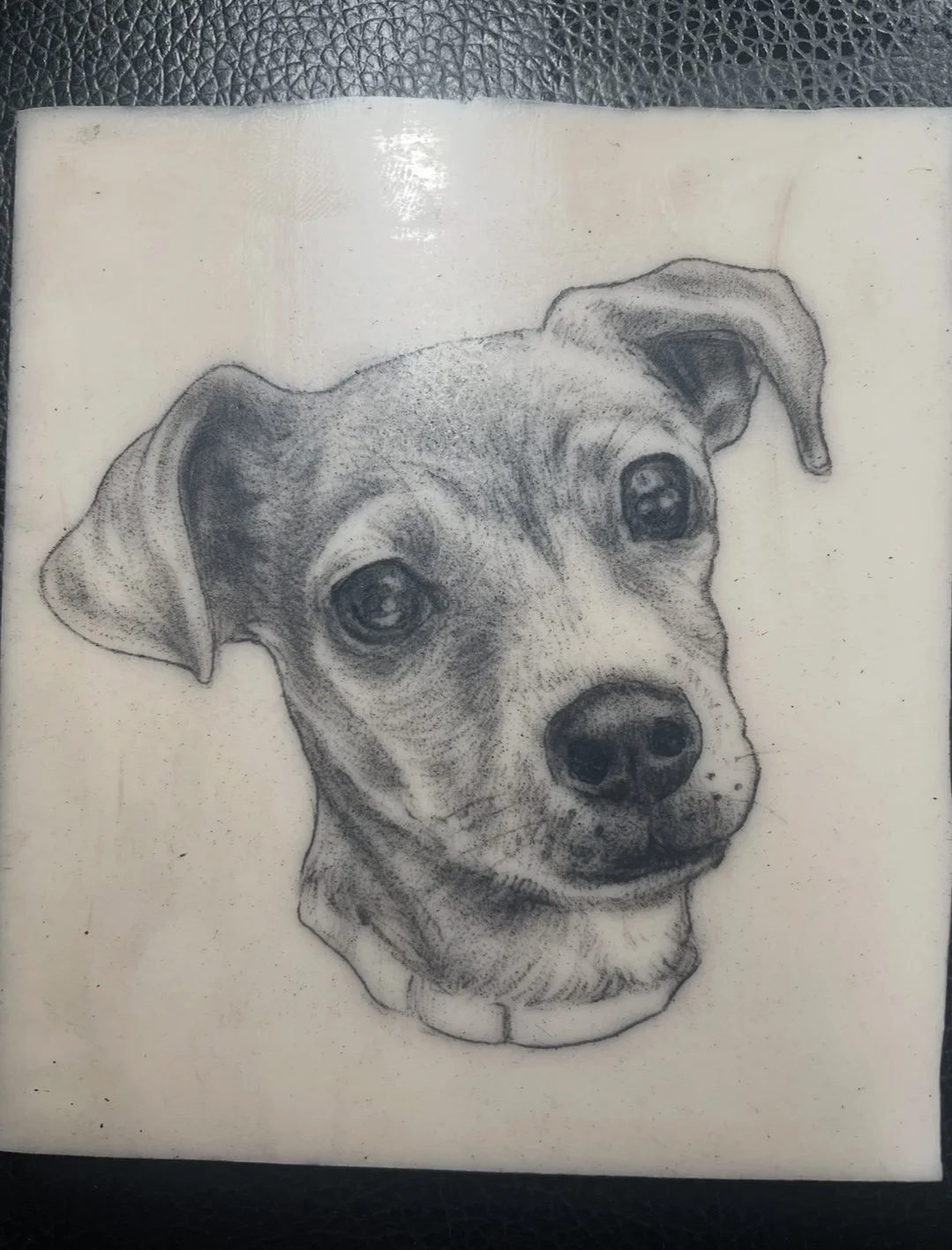 Realistic, highly detailed tattoo of a beagle black and grey tattoo santa cruz female tattoo artist