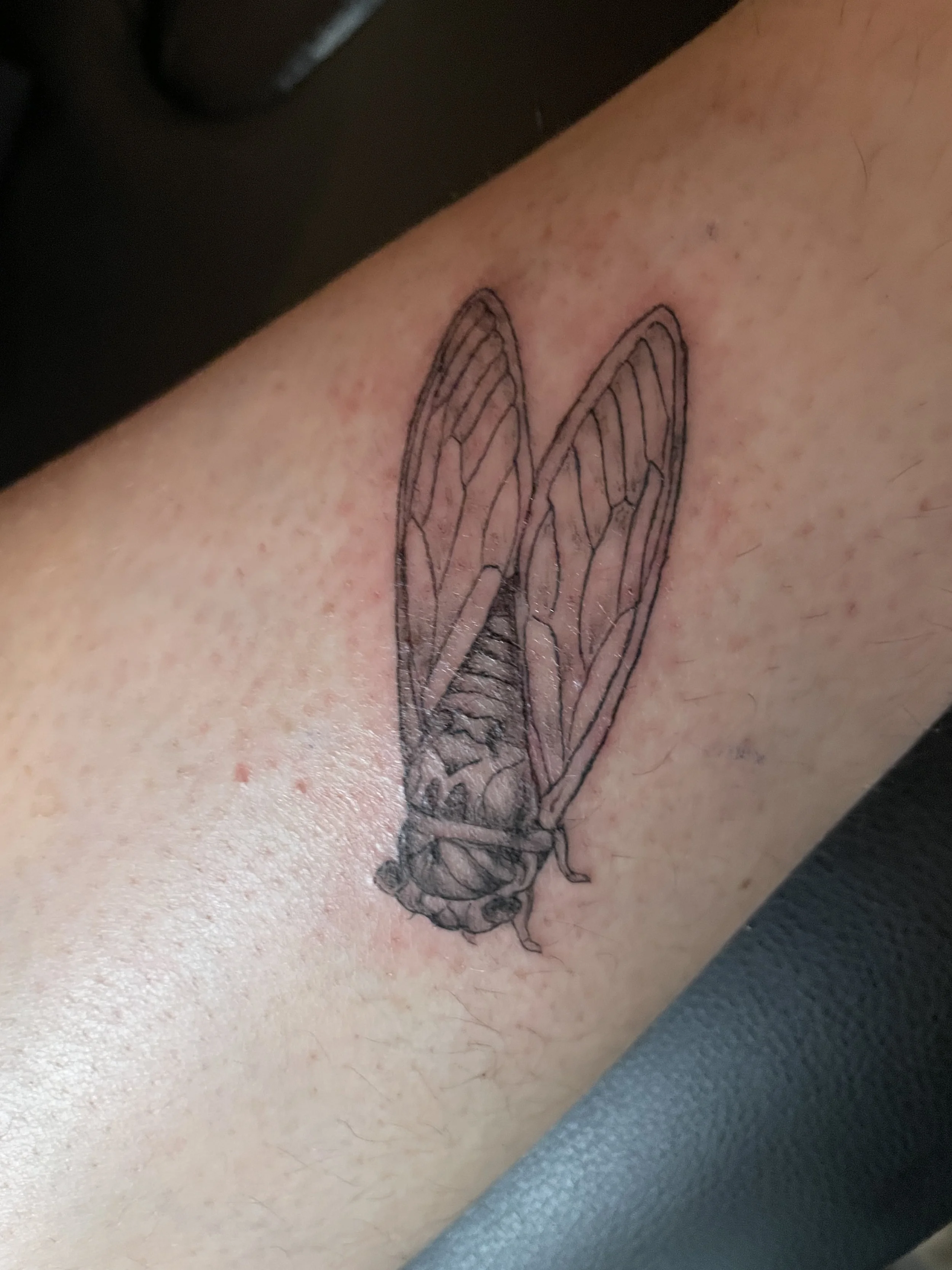 Tattoo of an angel wing on a person's skin.