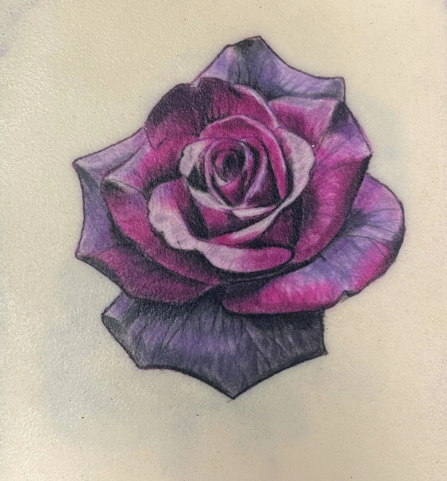 A detailed drawing of a purple and pink rose with green leaves, showcasing shading and texture on a beige background.