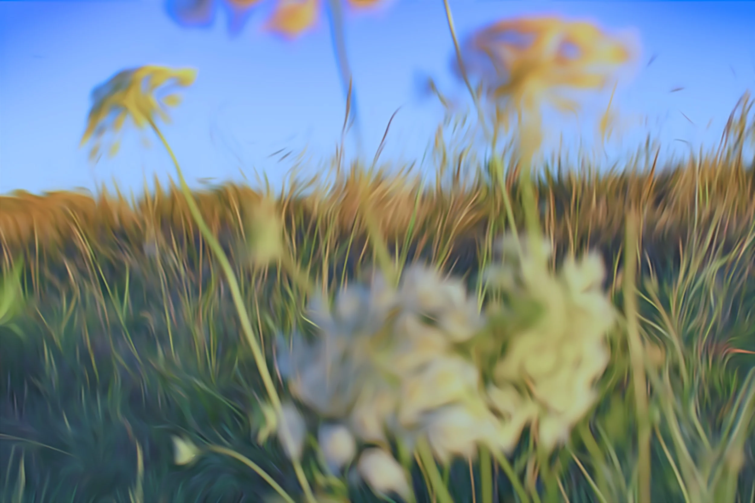 mcgill_a_fine art:abstract_1..jpg