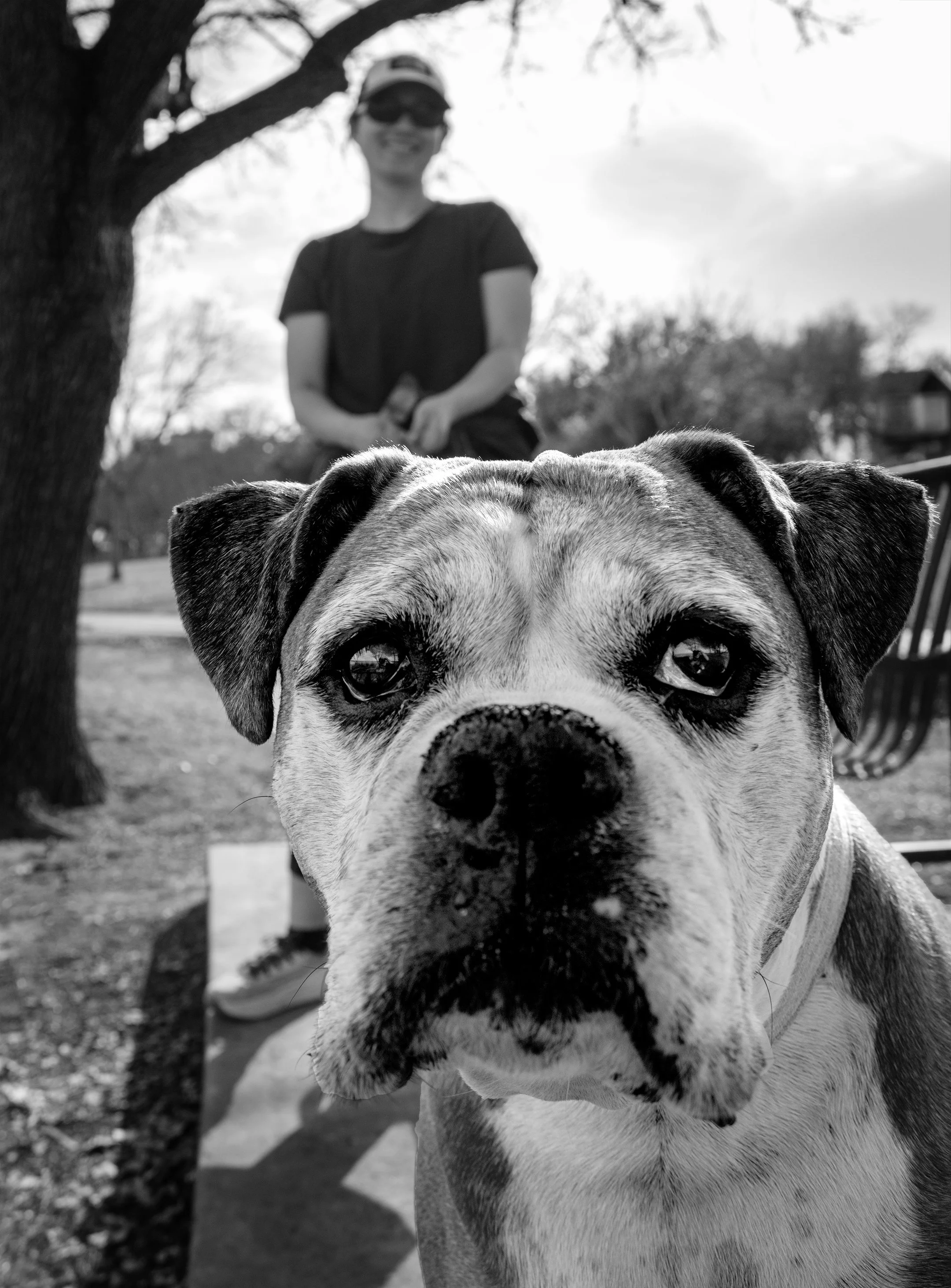 Maximus.
