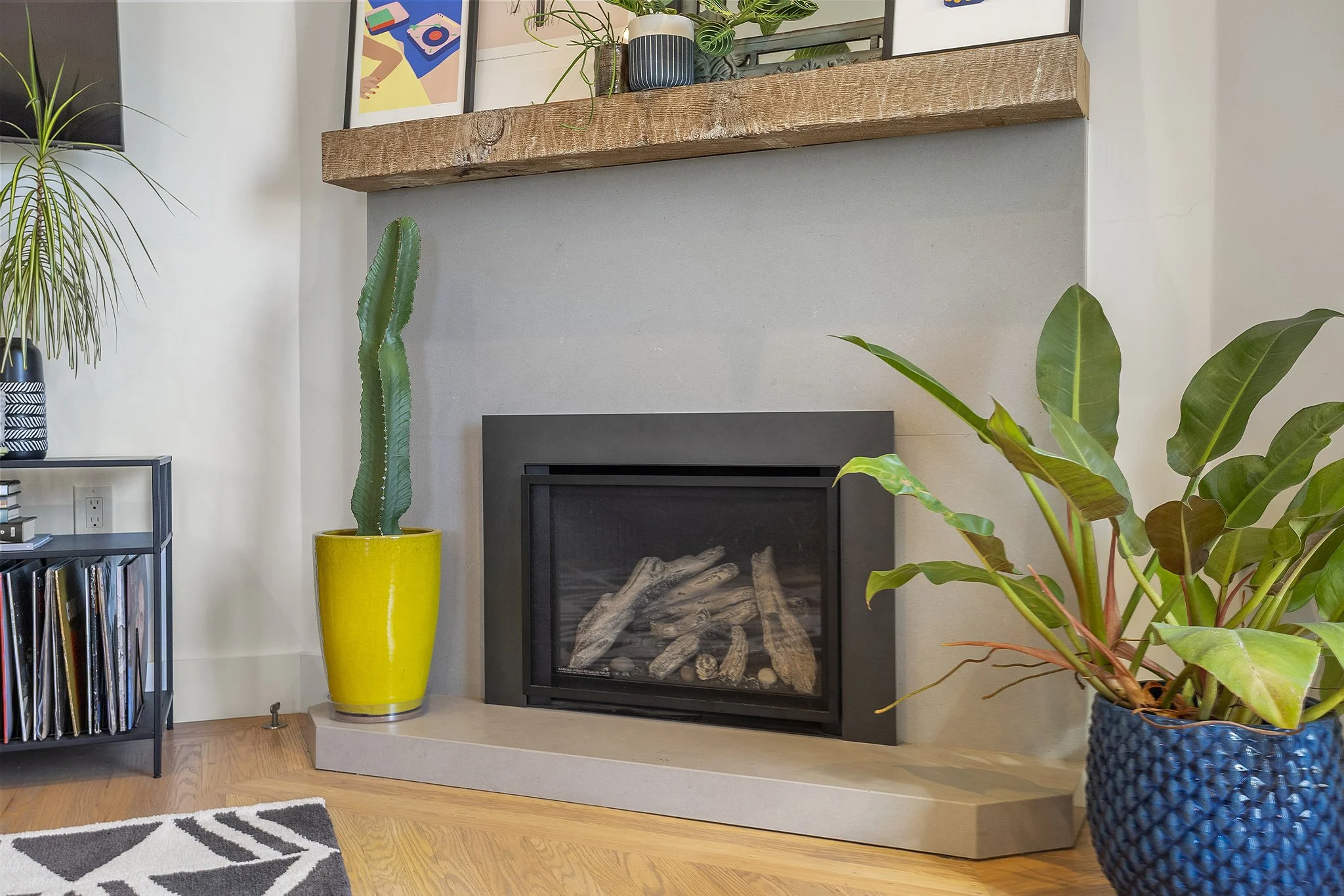 A living room fireplace with a black metal frame, surrounded by a gray hearth, with logs inside. To the left, a tall green cactus in a bright yellow pot. To the right, a large green leafy plant in a textured dark blue pot. Above the fireplace, a wood