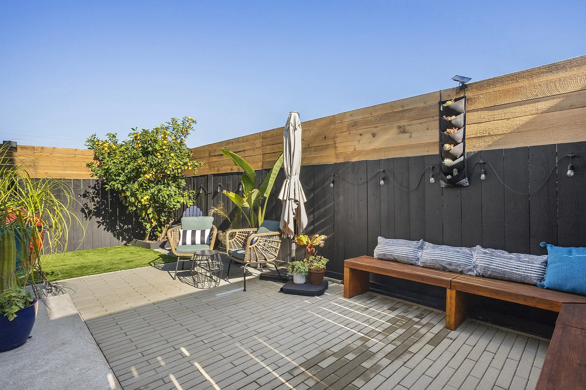 A backyard patio with a wooden privacy fence, outdoor chairs with cushions, a large potted lemon tree, potted plants, and an umbrella, under a clear blue sky.