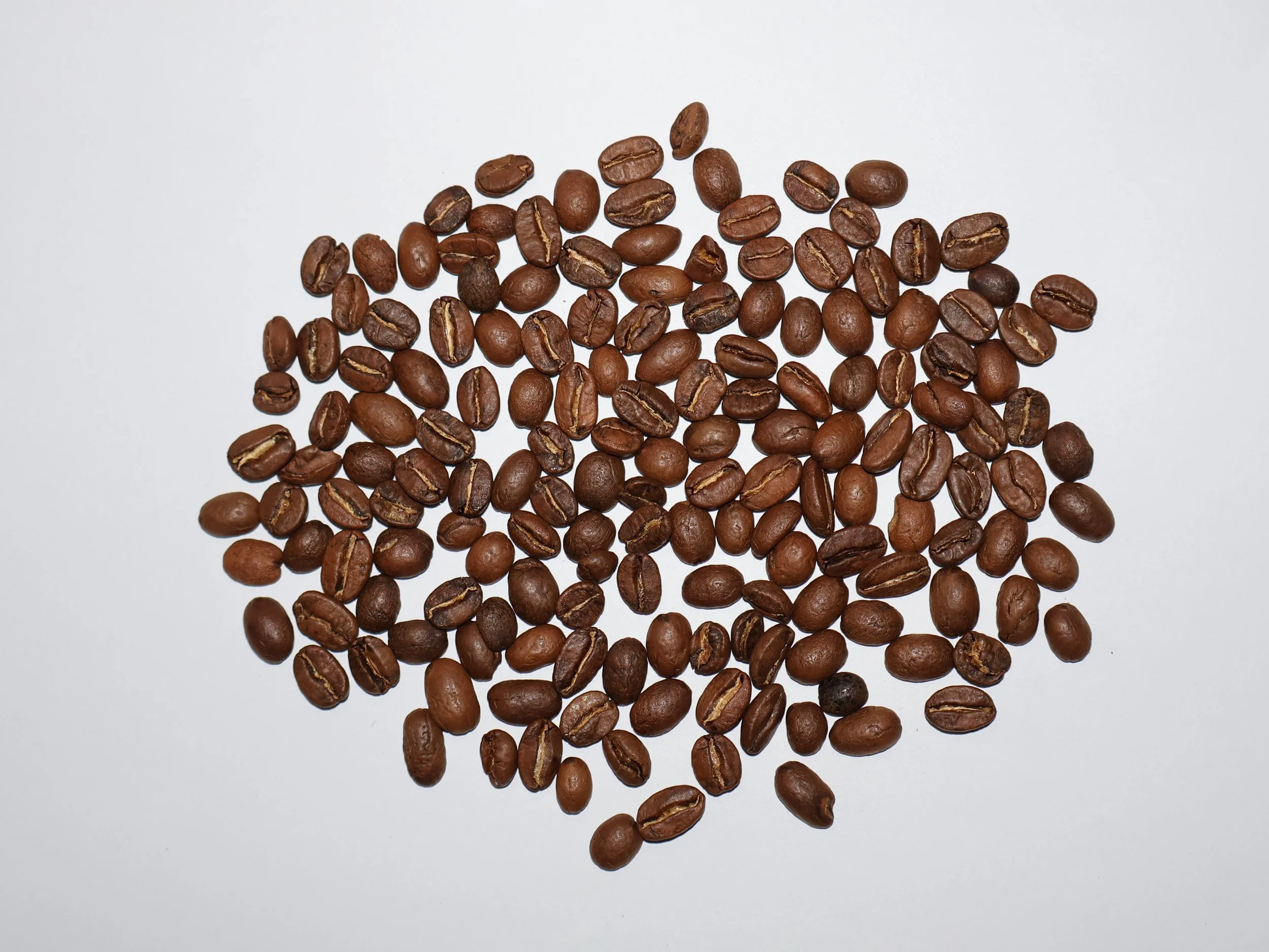 alejandro lavado.JPG