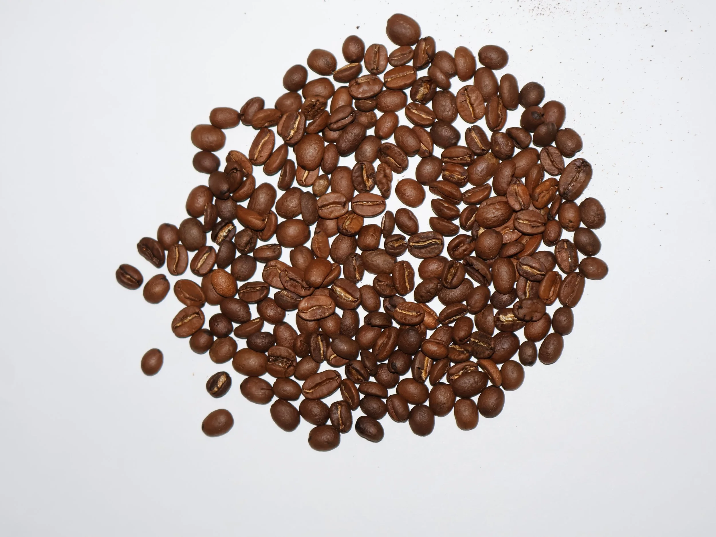 finca dn guillermo.JPG