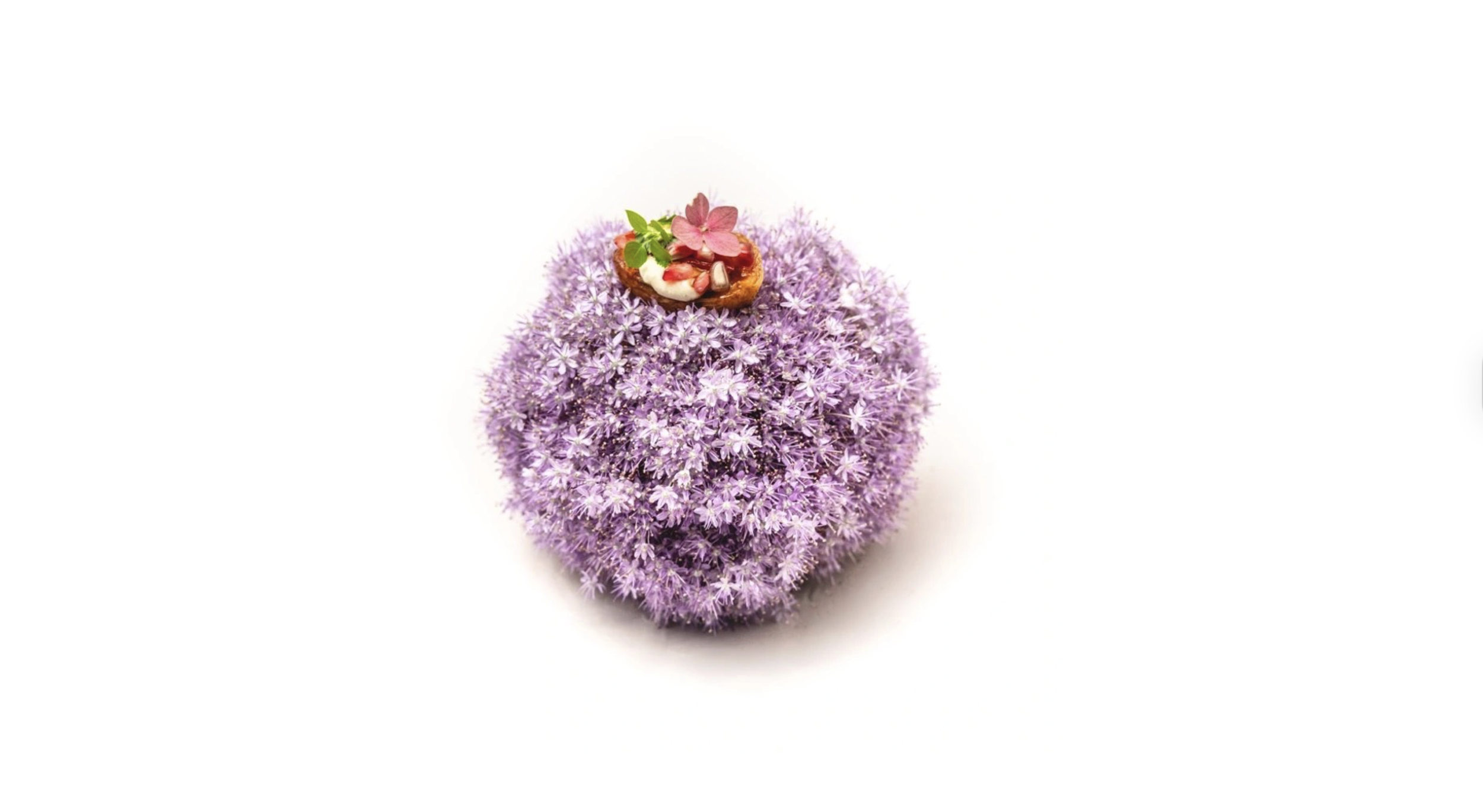 Gourmet plated dish with various colorful ingredients, garnished with edible flowers and herbs on a white background.