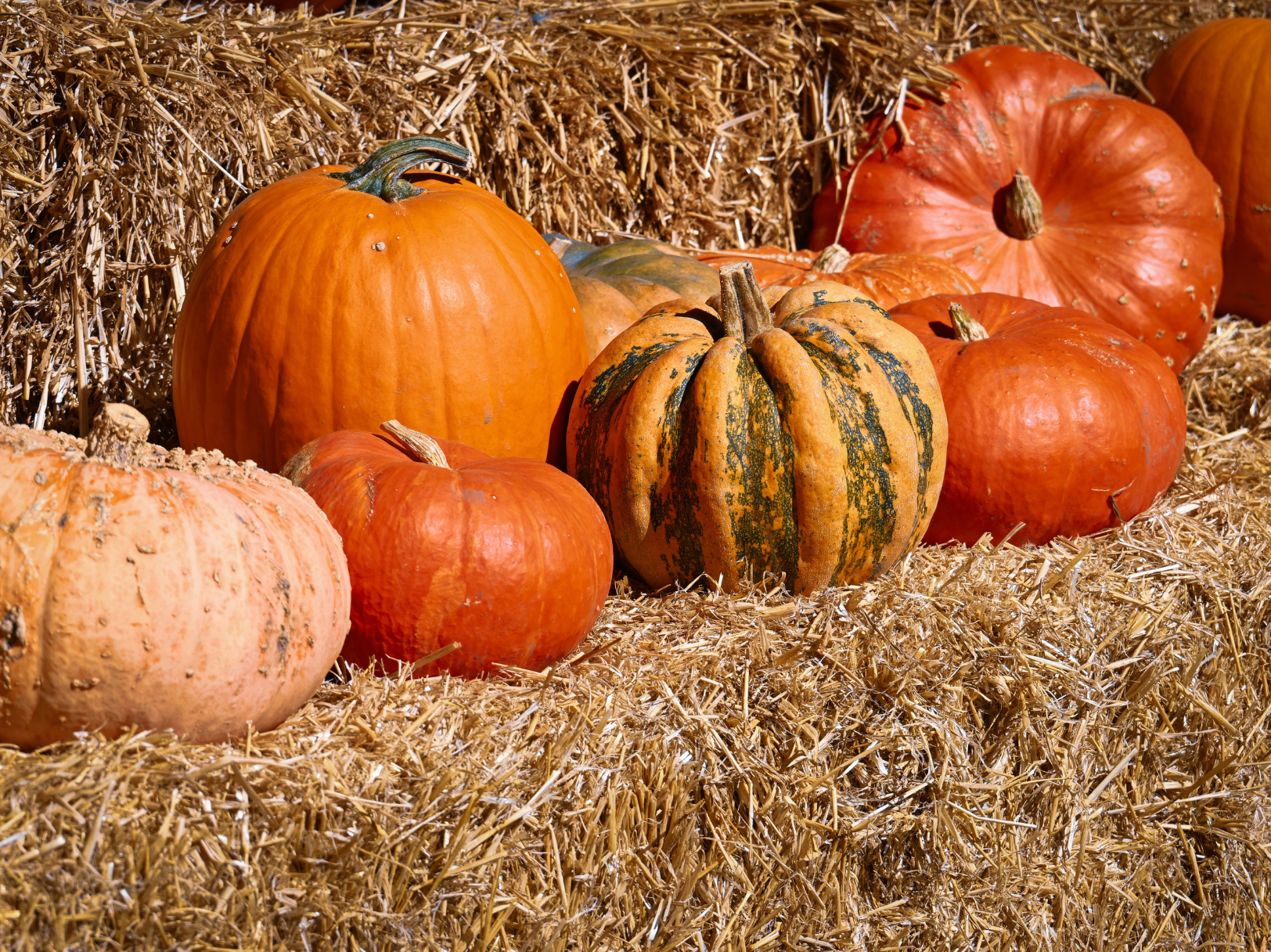 Navigating Differences Around Halloween