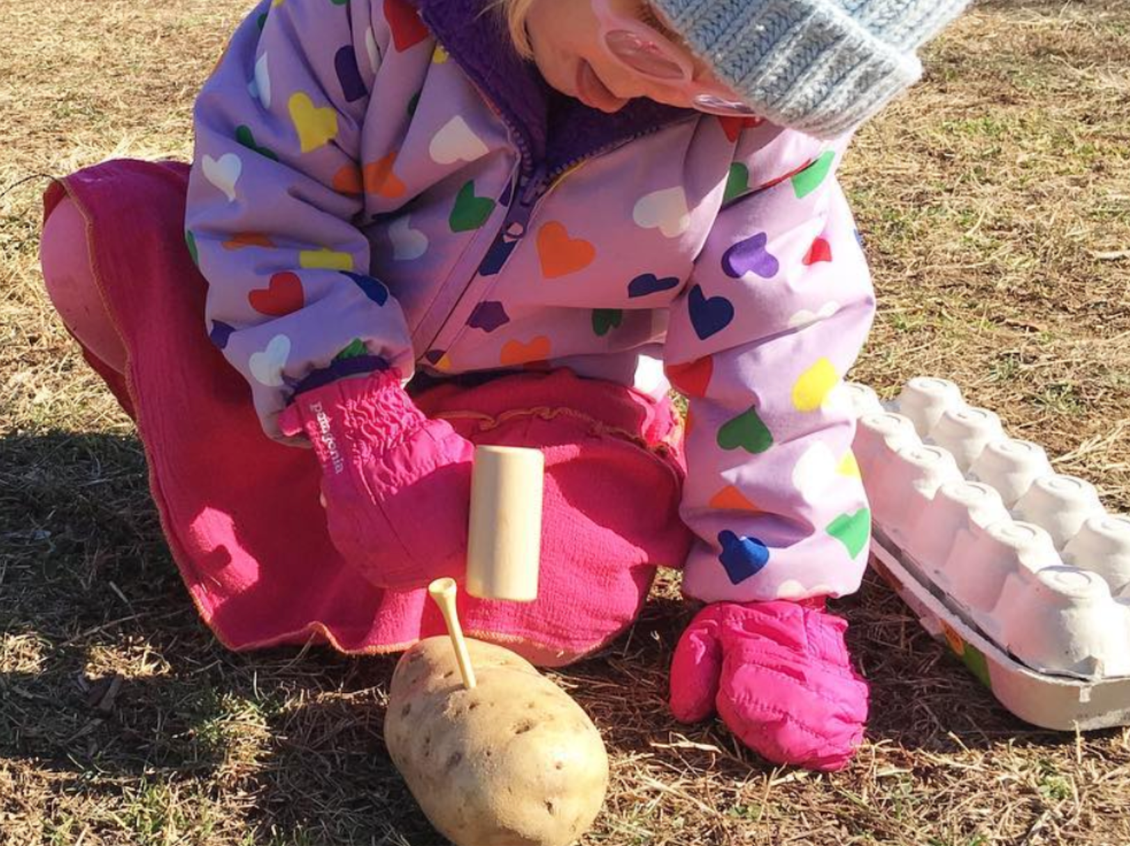 DIY Activity: Woodpecker’s Work