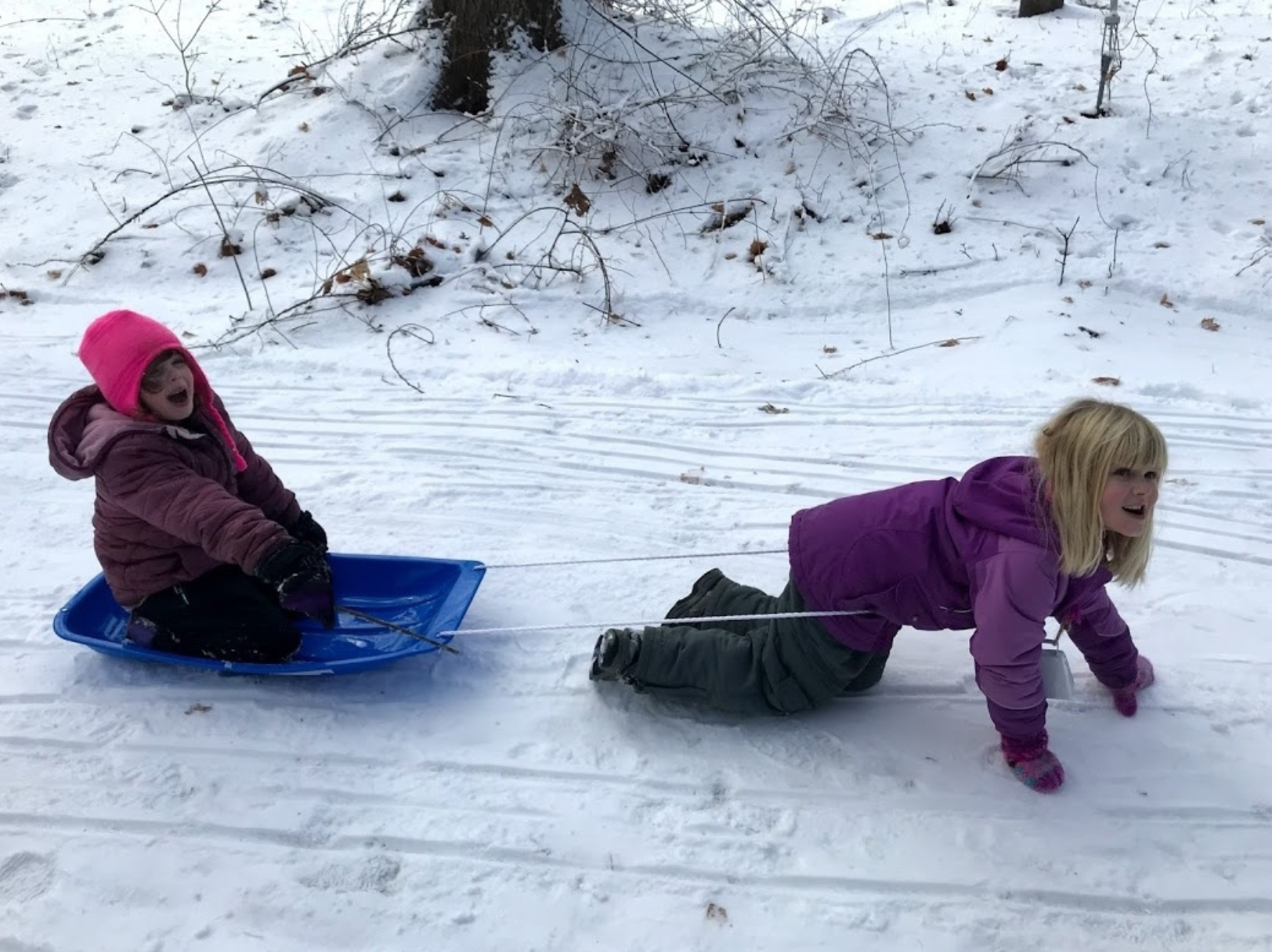 DIY Activity: Husky Haul