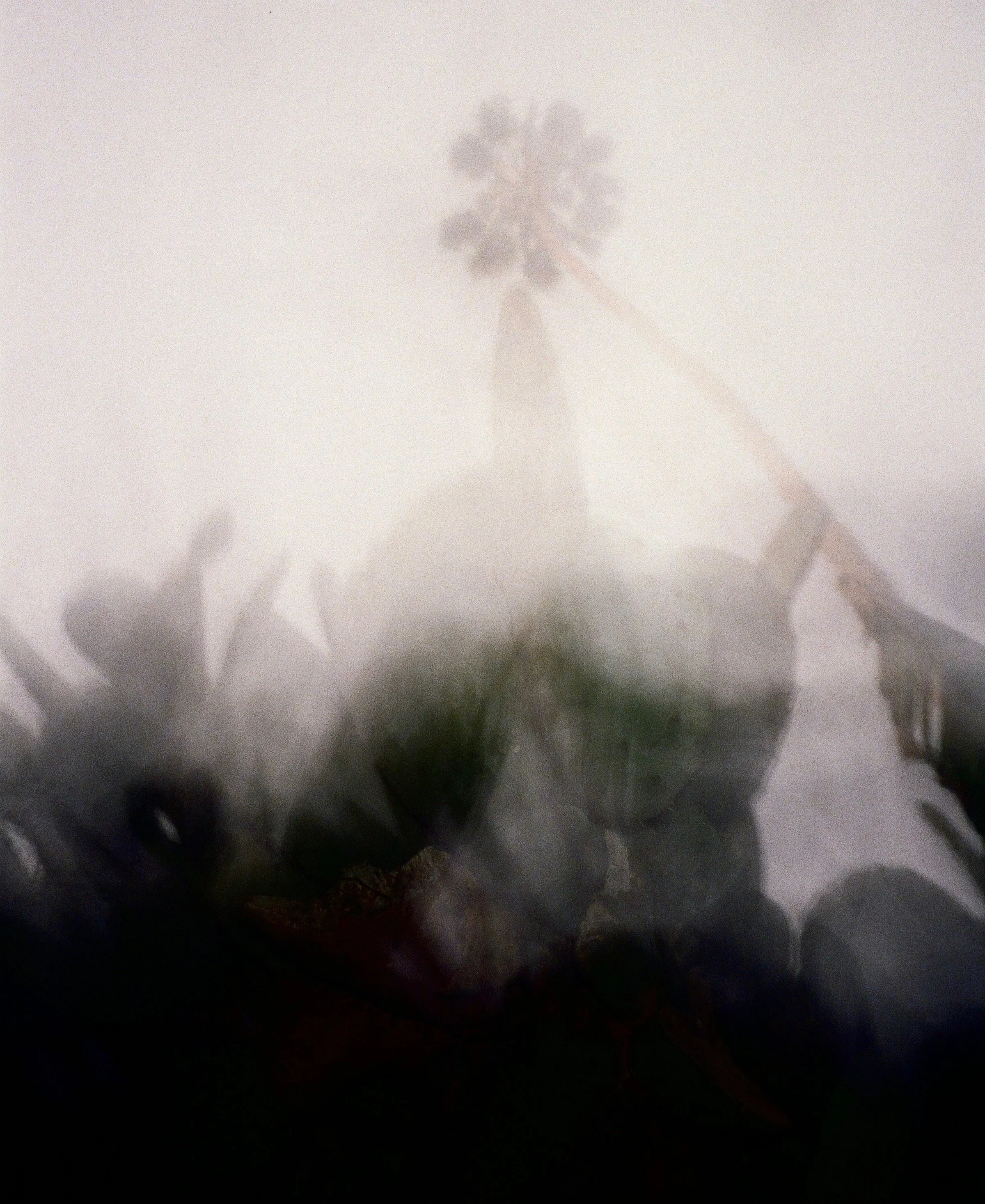 DC9FE1EA-44FA-484F-A372-5C0BCE3F7856.jpeg