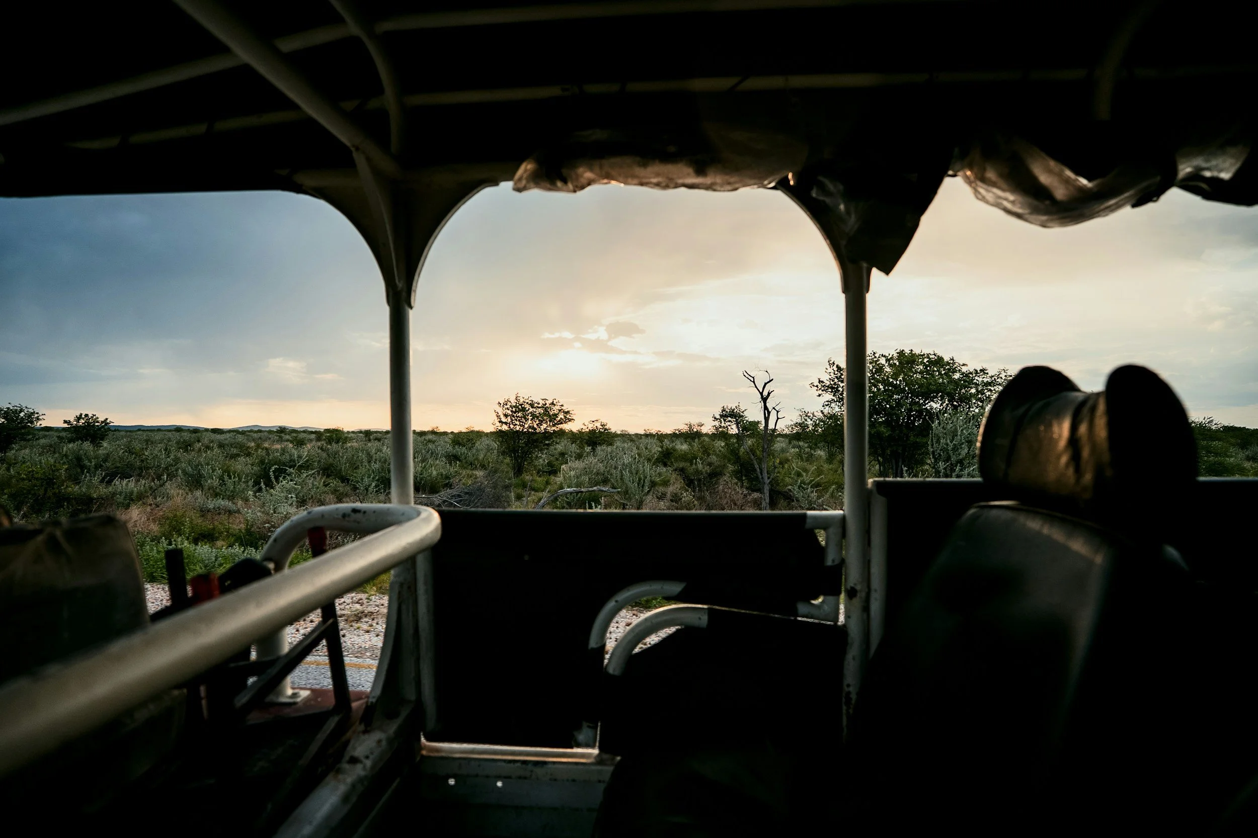 View from inside an old vehicle with rows of seats and railings, looking out over a flat, open landscape with shrubs and trees under a partly cloudy sky at sunset.
