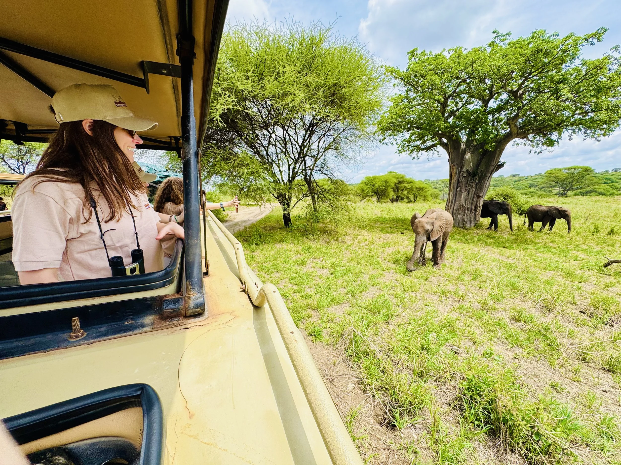 Tourists sitting in safari vehicle observing elephants in a natural habitat with green trees and blue sky.