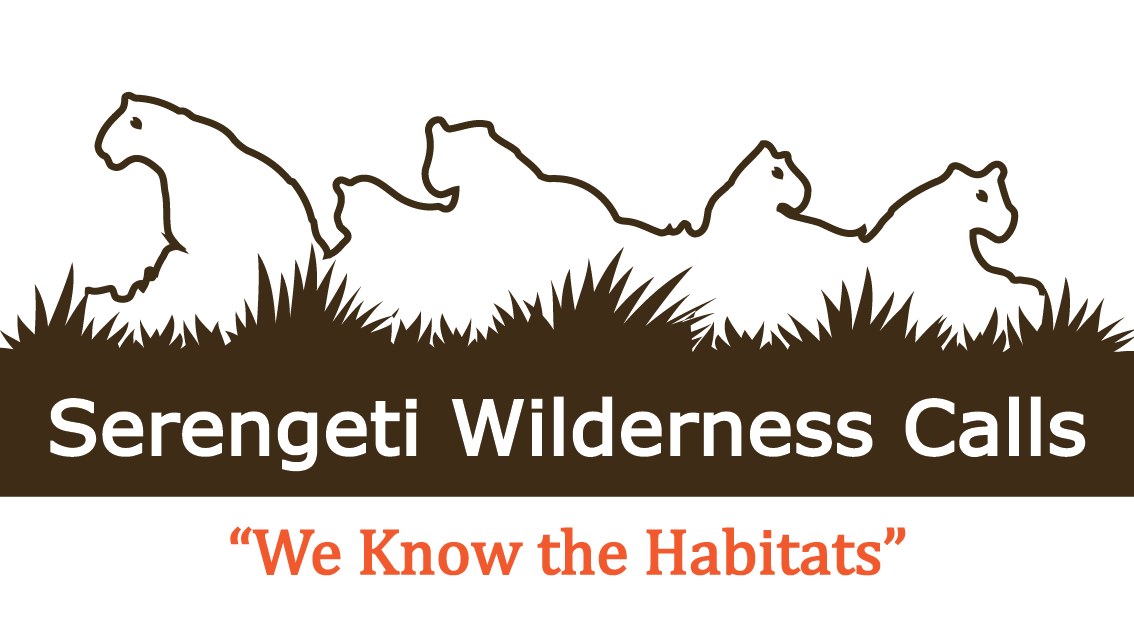 Silhouetted lions on a grassy hill with the text 'Serengeti Wilderness Calls' and the slogan 'We Know the Habitats'