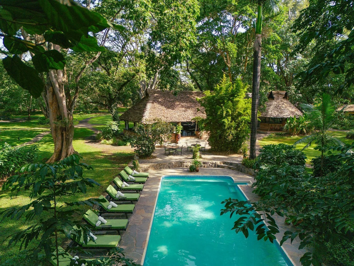 A serene outdoor pool area surrounded by lush trees and greenery, with a thatched-roof building in the background, outdoor tables and chairs, and green lounge chairs lining the poolside.