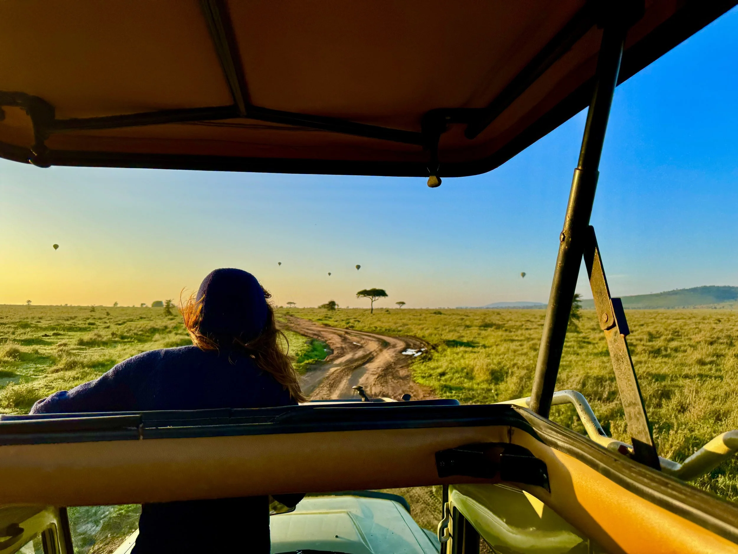 View from inside a safari vehicle showing a person with long hair wearing a purple hat looking out at an open grassland with dirt road and multiple hot air balloons in the sky during sunset or sunrise in an African landscape.