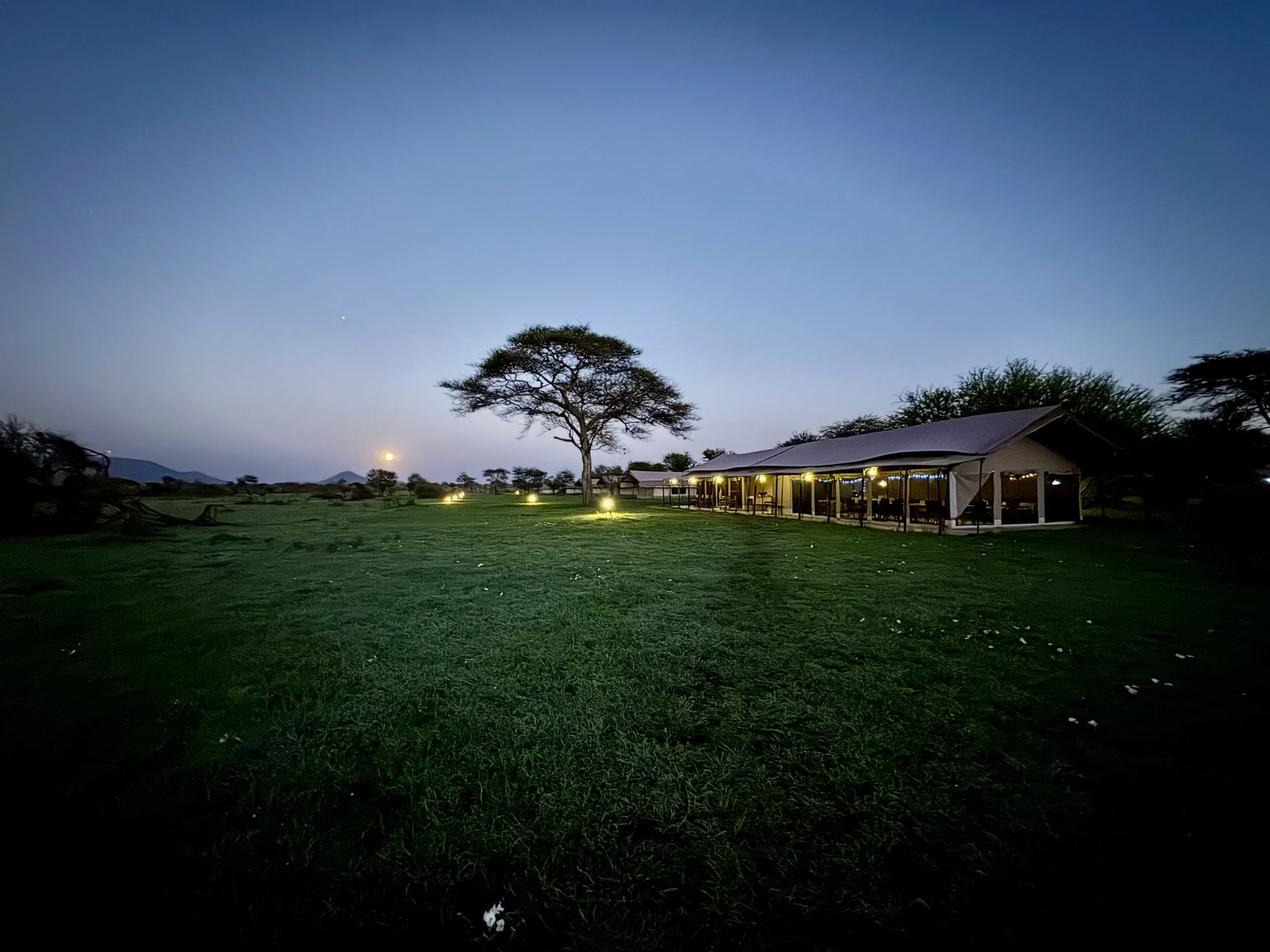 A wide shot of a grassy field at dusk with a large tree and a house with a covered porch decorated with outdoor string lights.