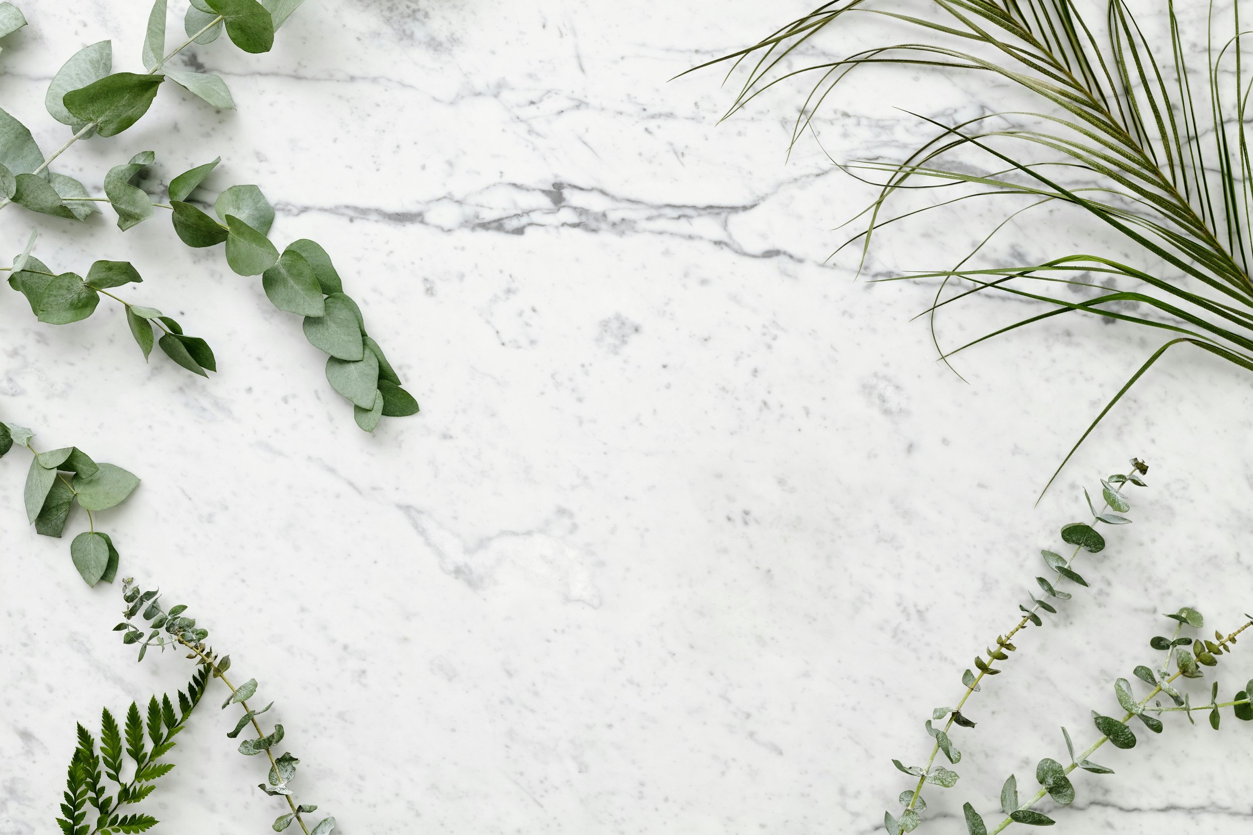 Assorted green leaves and plants arranged on a white marble surface.