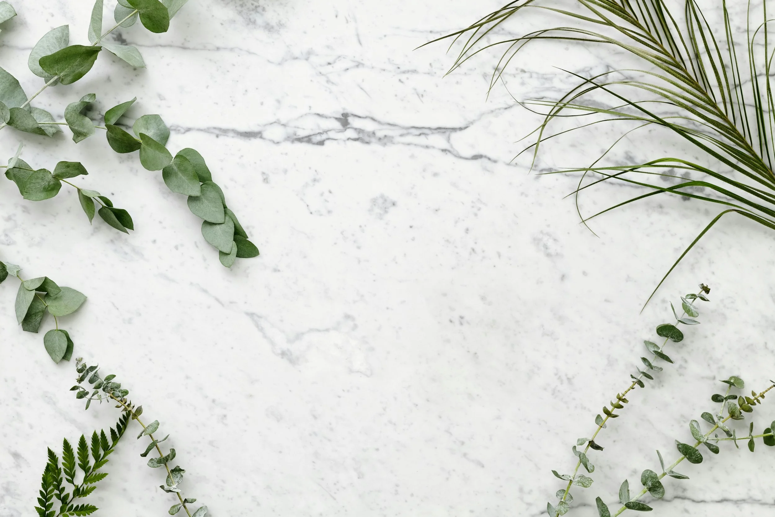 Assorted green leaves and plants arranged on a white marble surface.