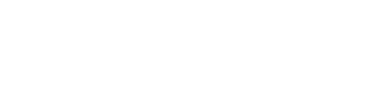 Iberia United  Transport Group