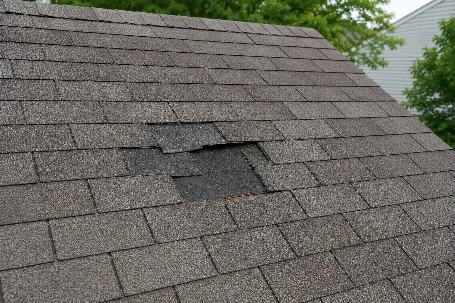🏠 Roof repair season is here.

If you've noticed missing shingles, loose shingles, leaks, or storm damage, we are here to help!

Whether you need a roof patch, or it's time to start thinking about a full replacement, give us a call! 

701.621.0180