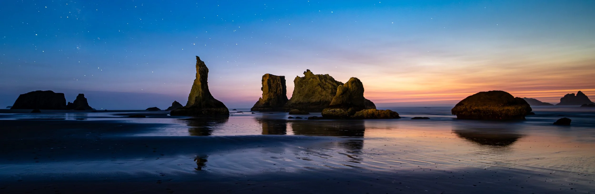 Howling Dog at Bandon Beach