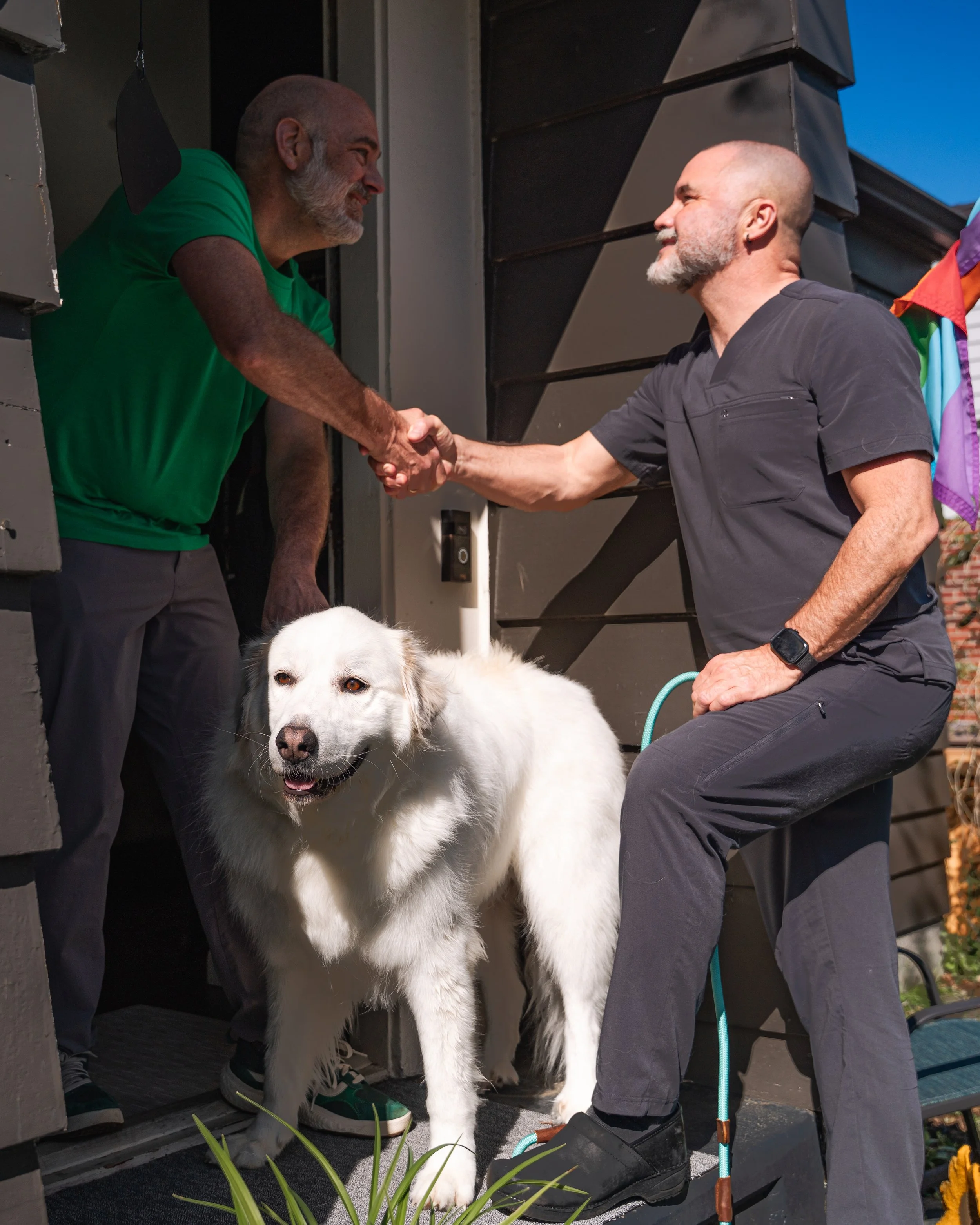 Groomer returns clean tidy dog to owners care.