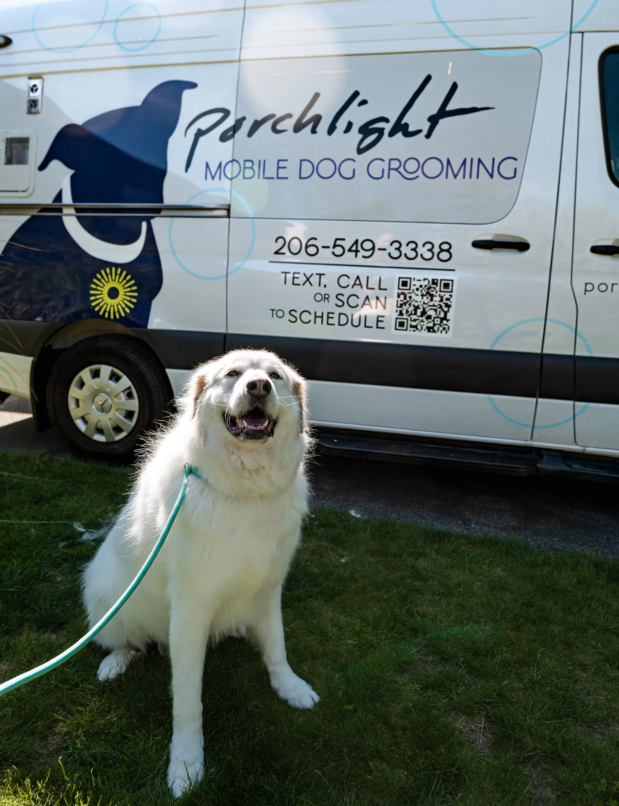 A happy dog with a white coat and brown eyes standing on green grass in front of Porchlight's mobile dog grooming van with the words 'porchlight' and 'MOBILE DOG GROOMING' along with a silhouette of a dog, a phone number, and a QR code.