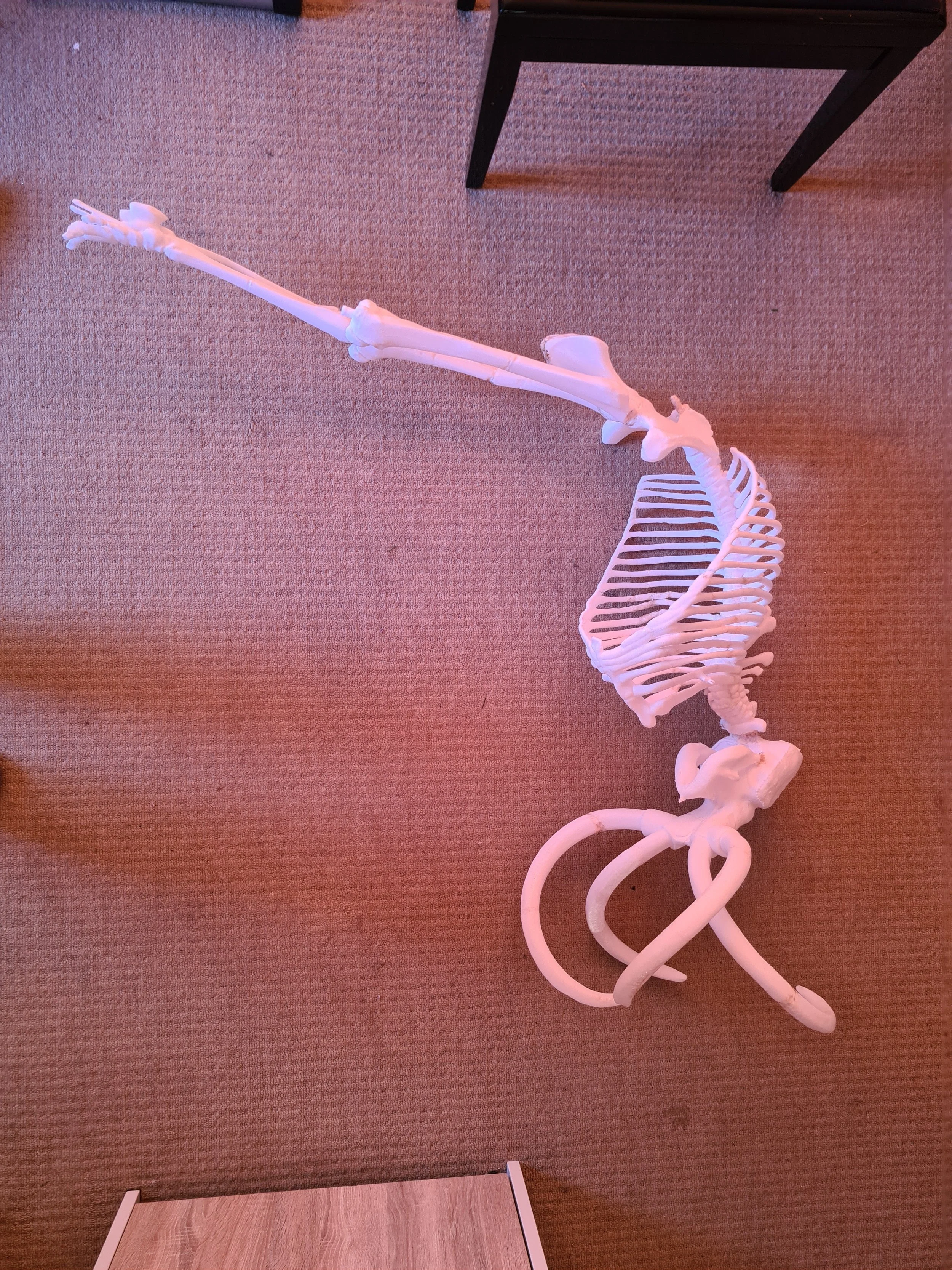 20210125_114404 - Copy - Copy.jpg
