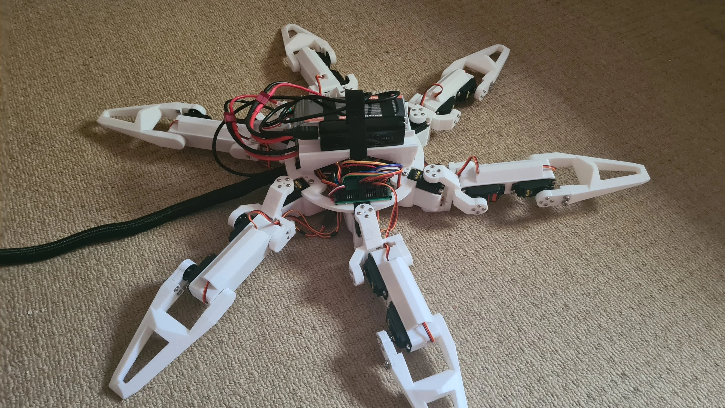 20230416_180307.jpg