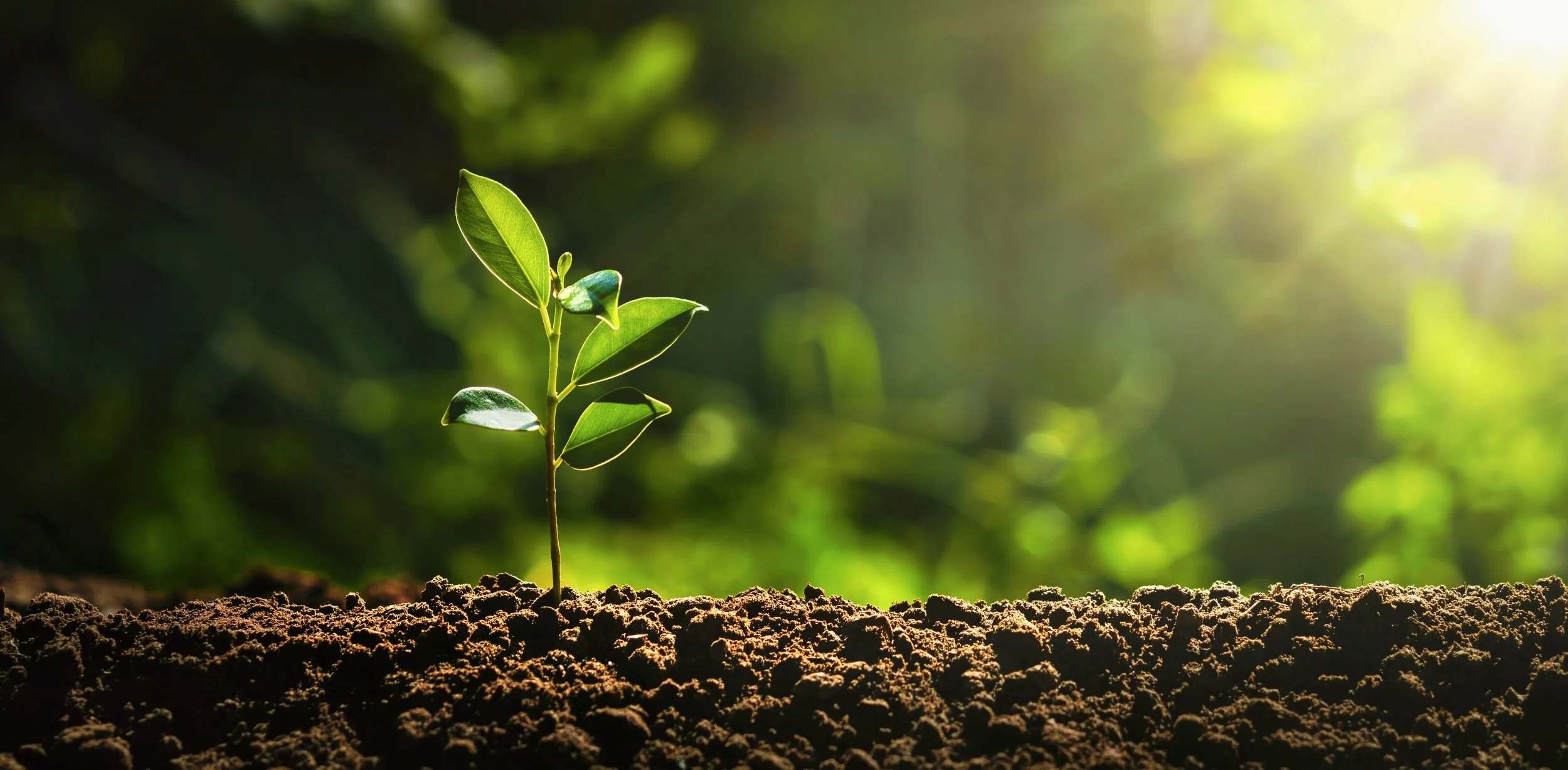 Make Room for Growth