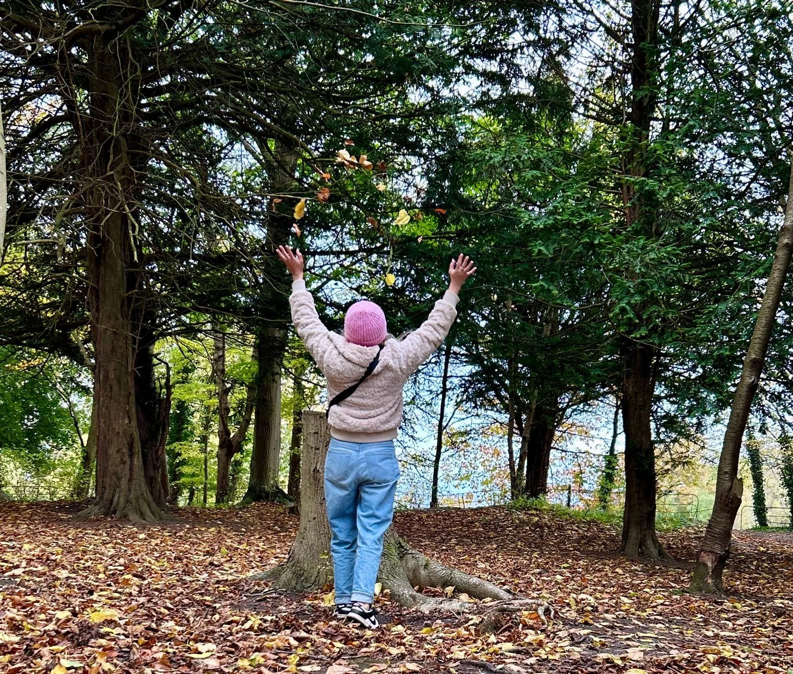 A child wearing a pink beanie, cream jacket, and blue jeans stands on a forest floor covered in fallen leaves, raising their arms towards the sky amid trees with green and autumn-colored leaves.