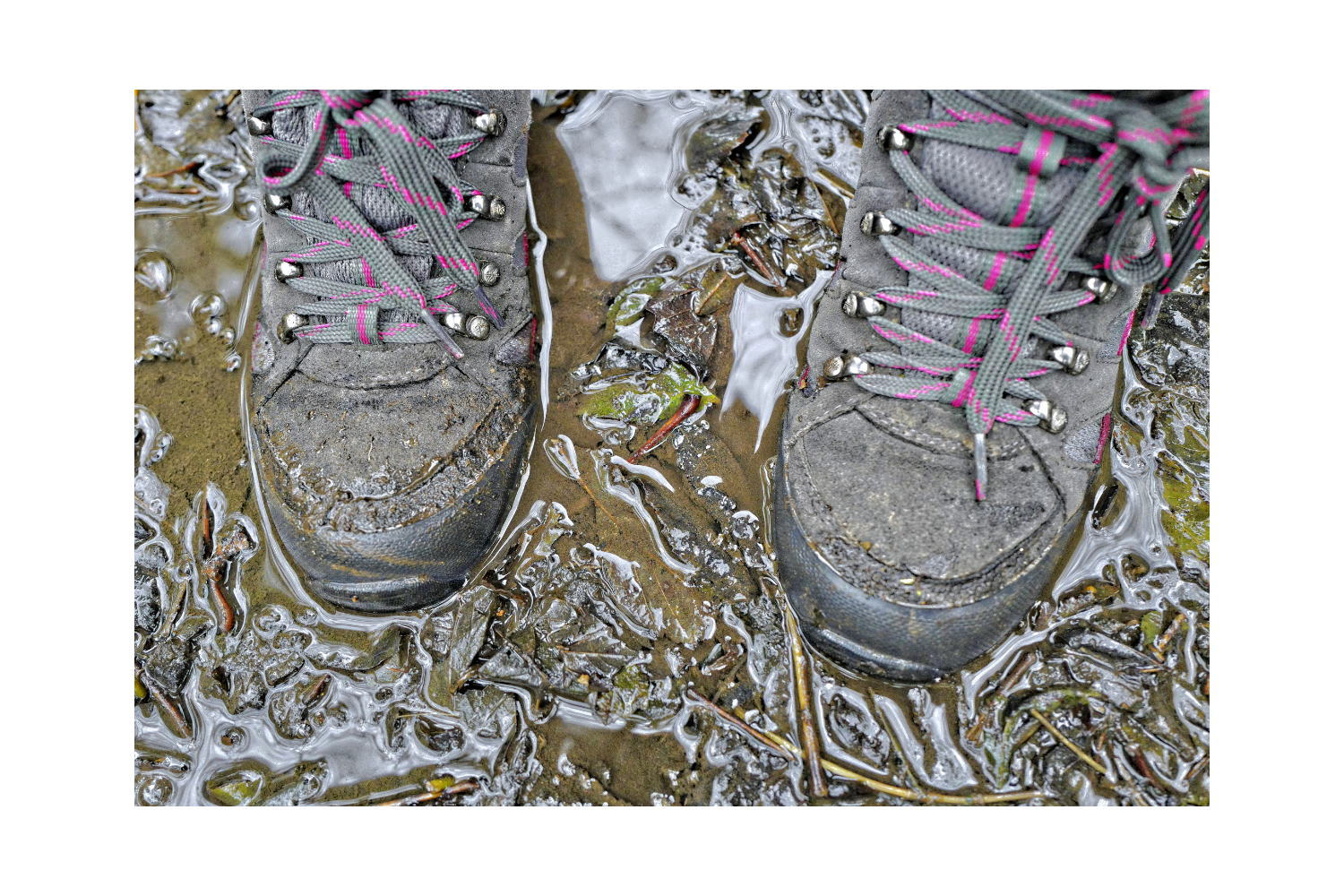 muddy boots standing in water