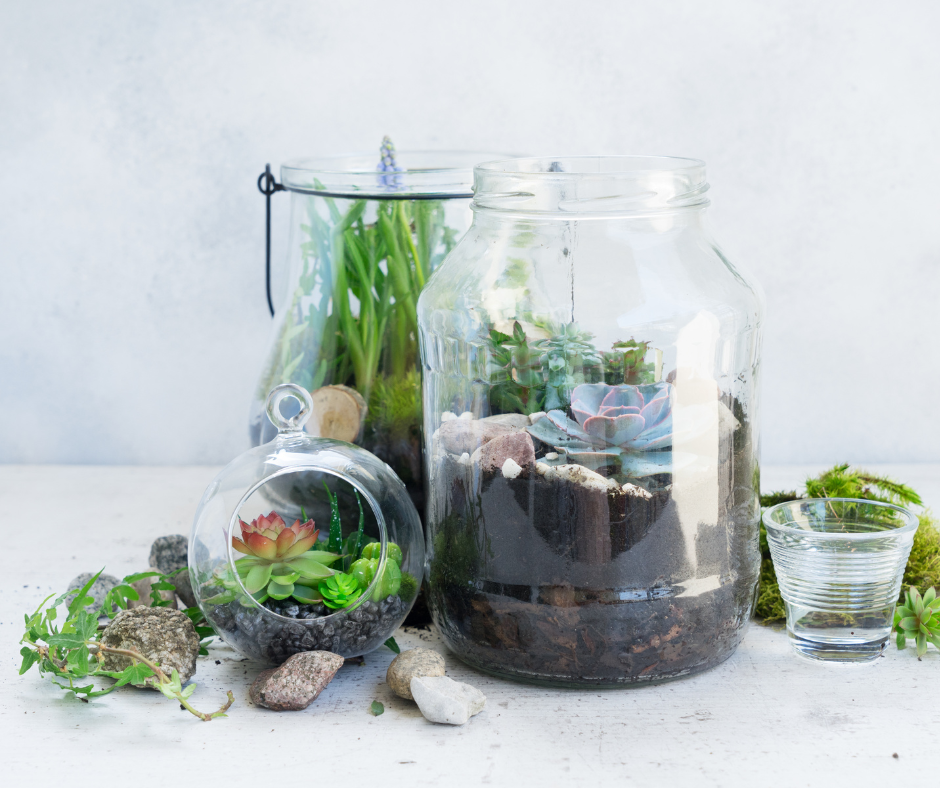 terrarium in jars