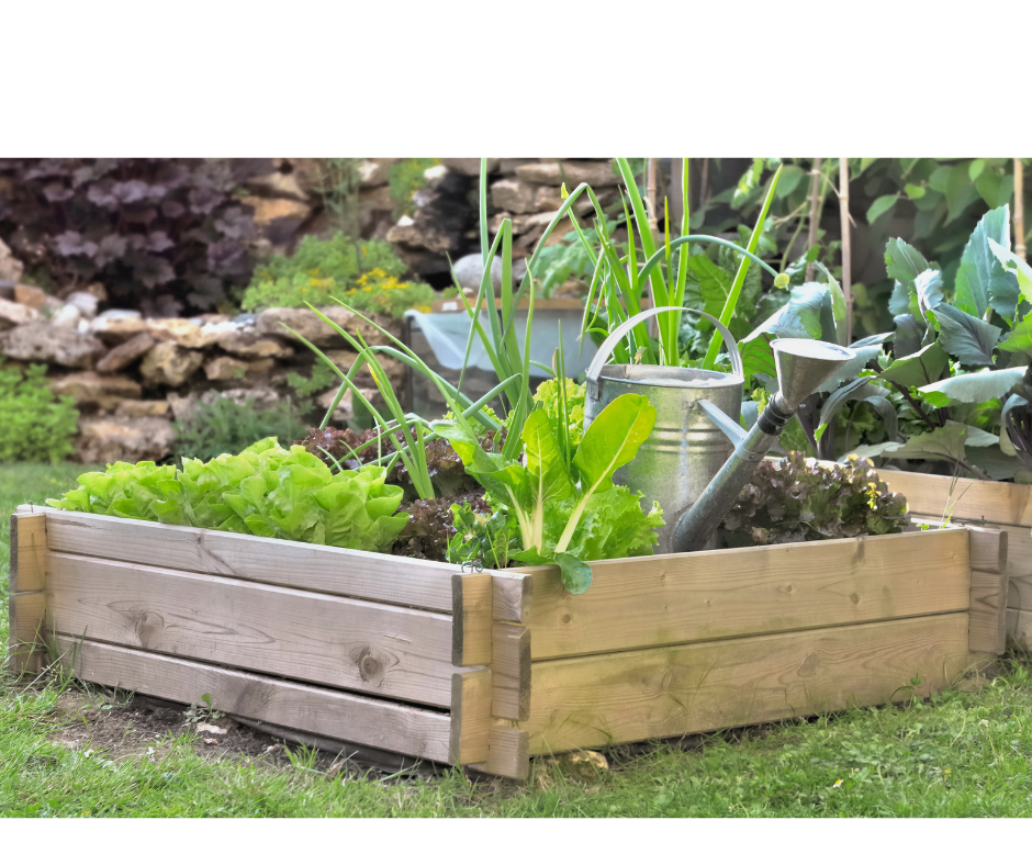 Small garden in backyard