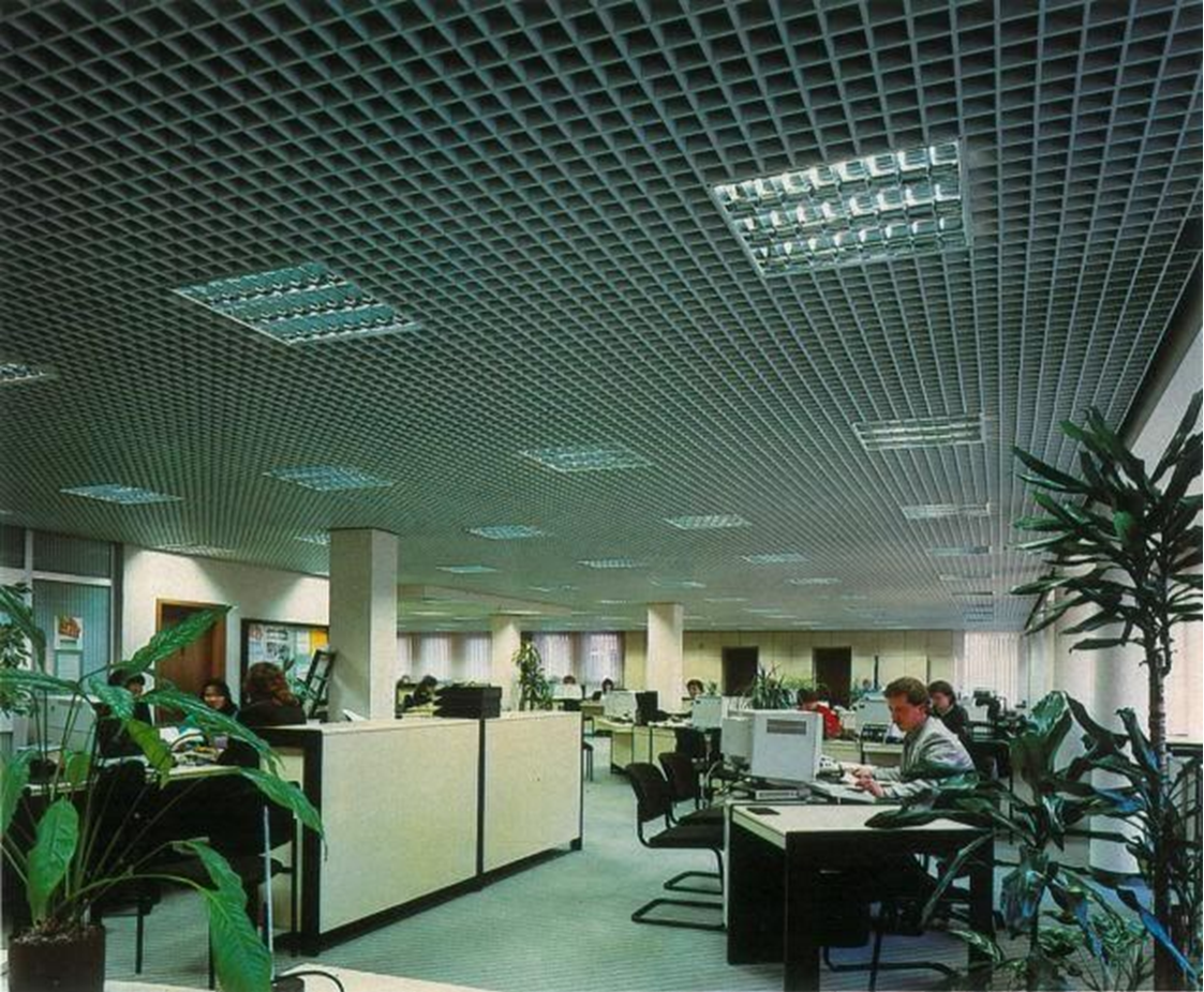 Poster for Rathaus. An open-plan office with workers sitting at desks, large potted plants, and a ceiling with a grid pattern and fluorescent lighting.