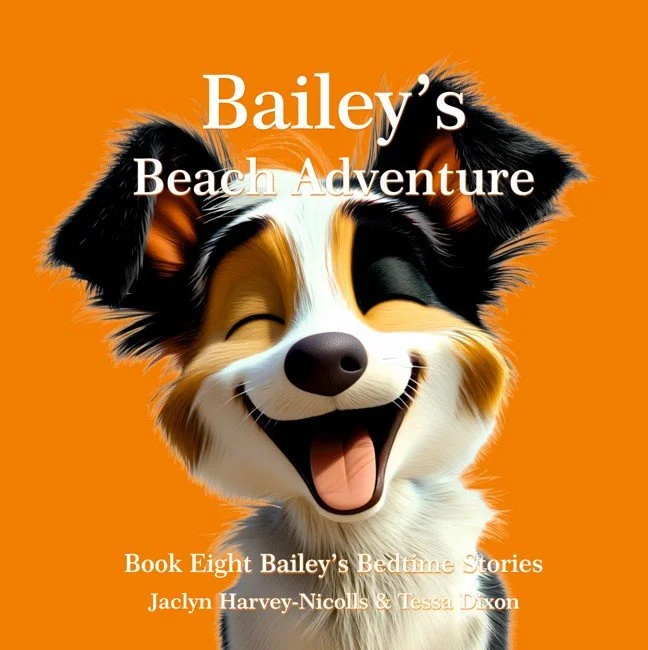 Bailey's Beach Adventure