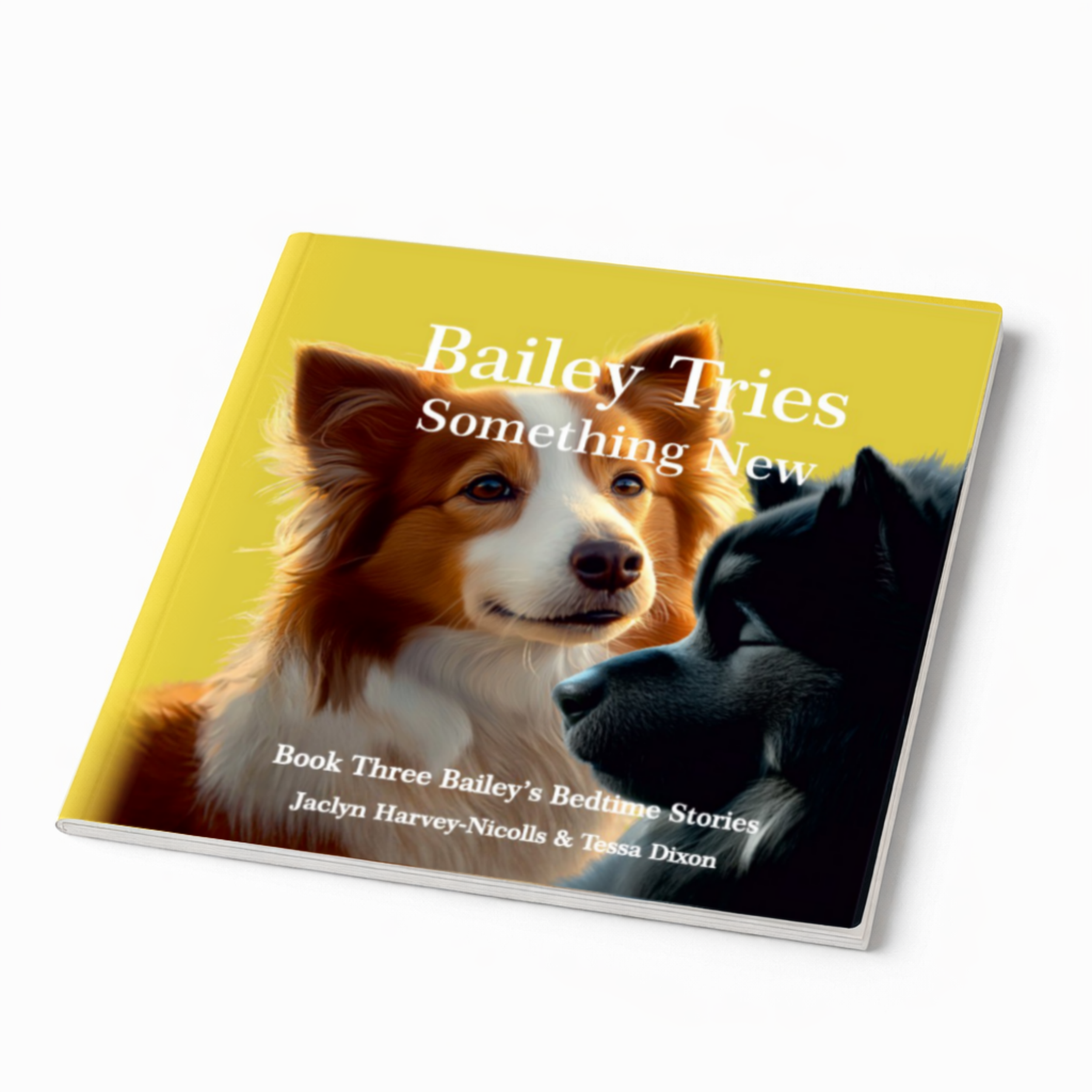 Bailey Tries Something New book cover.png