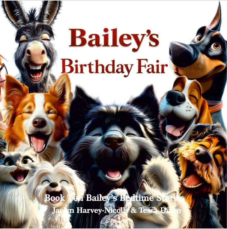Bailey's Birthday Fair