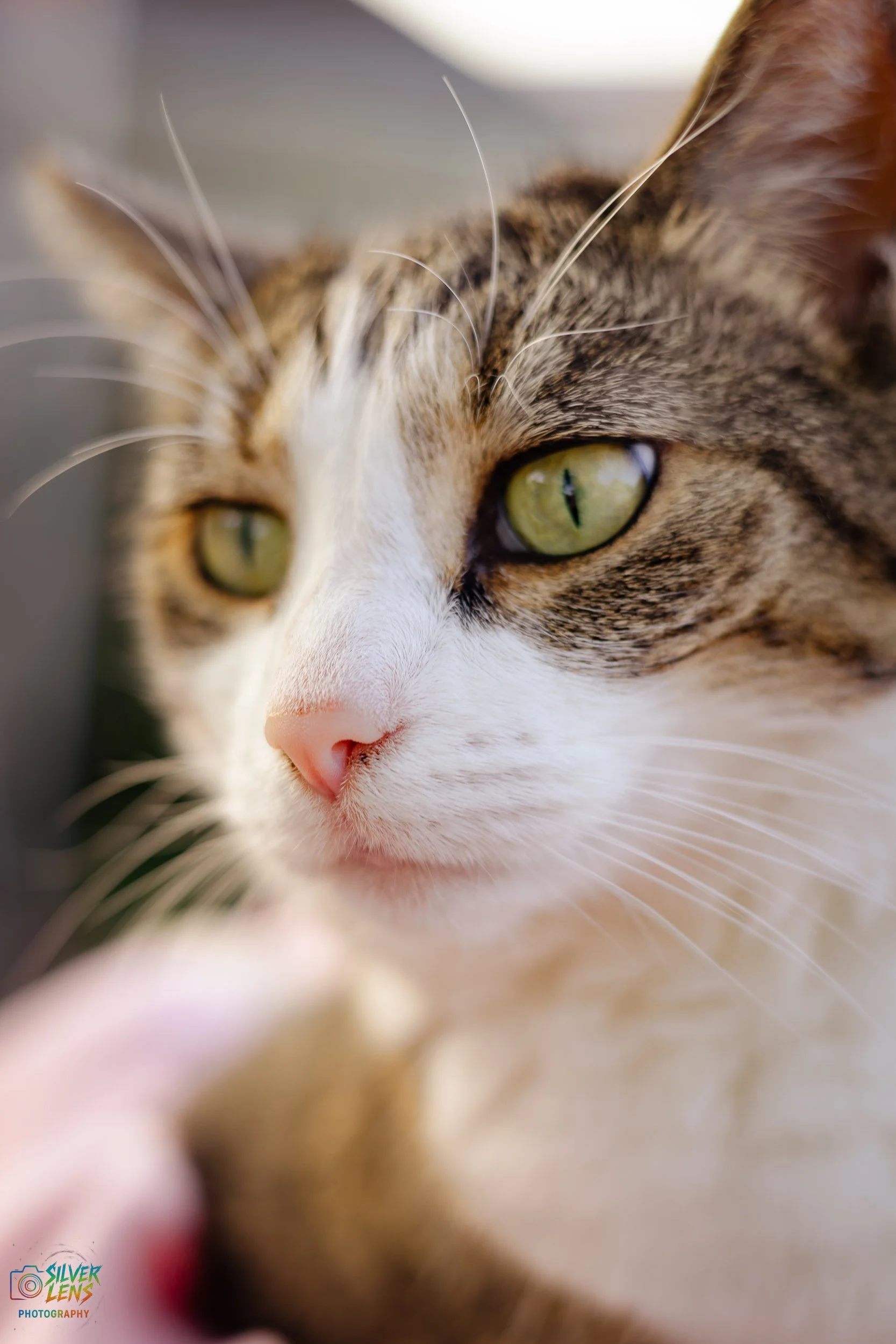 websitestuffs (7 of 11).jpg