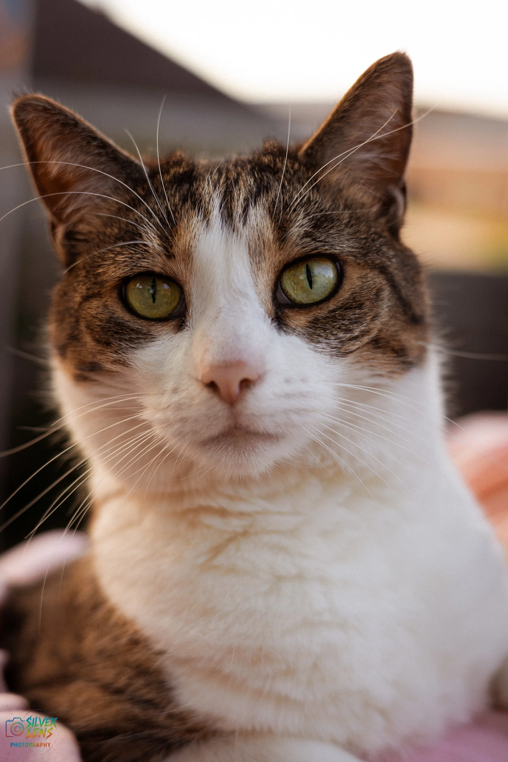 websitestuffs (6 of 11).jpg