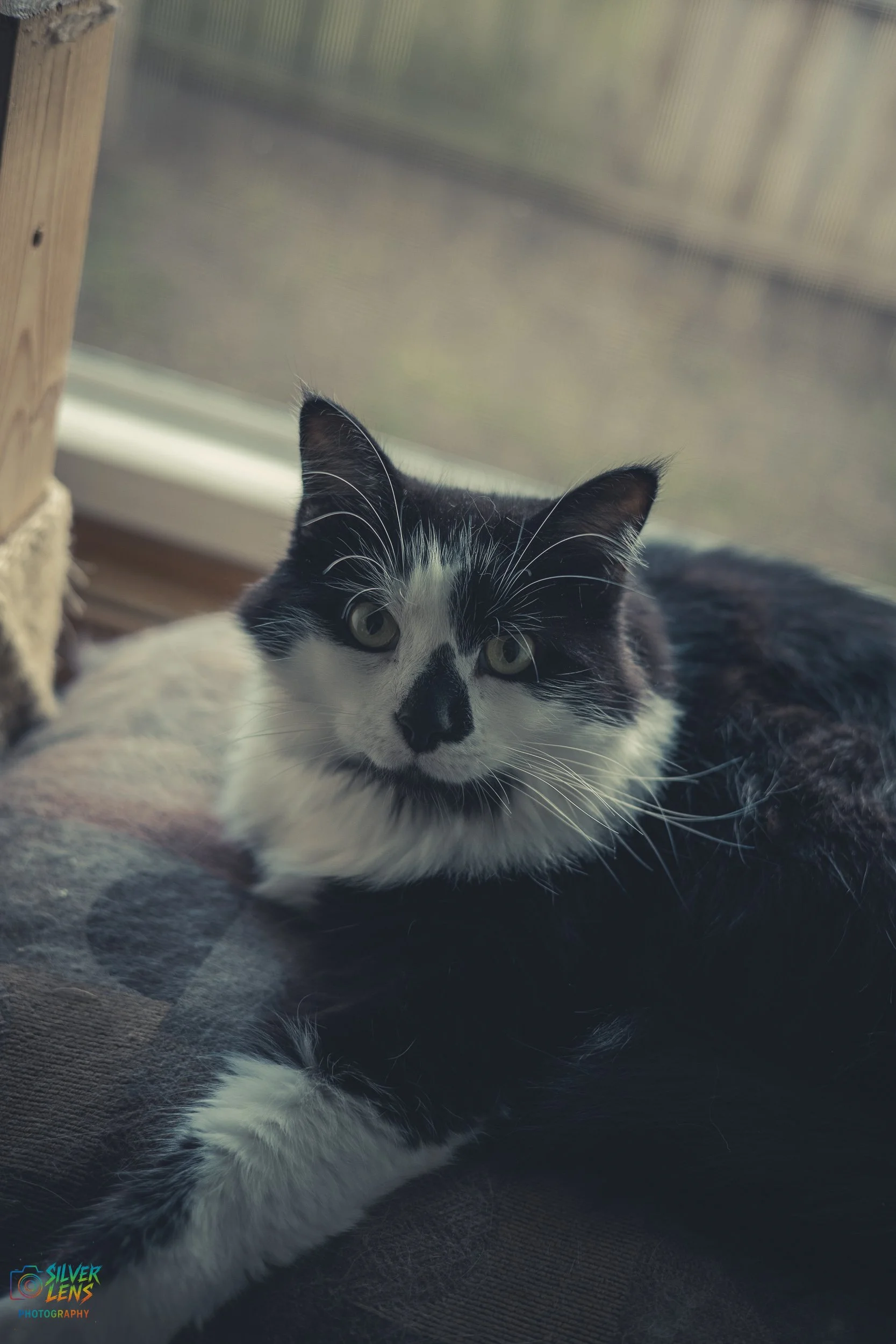 websitestuffs (5 of 11).jpg